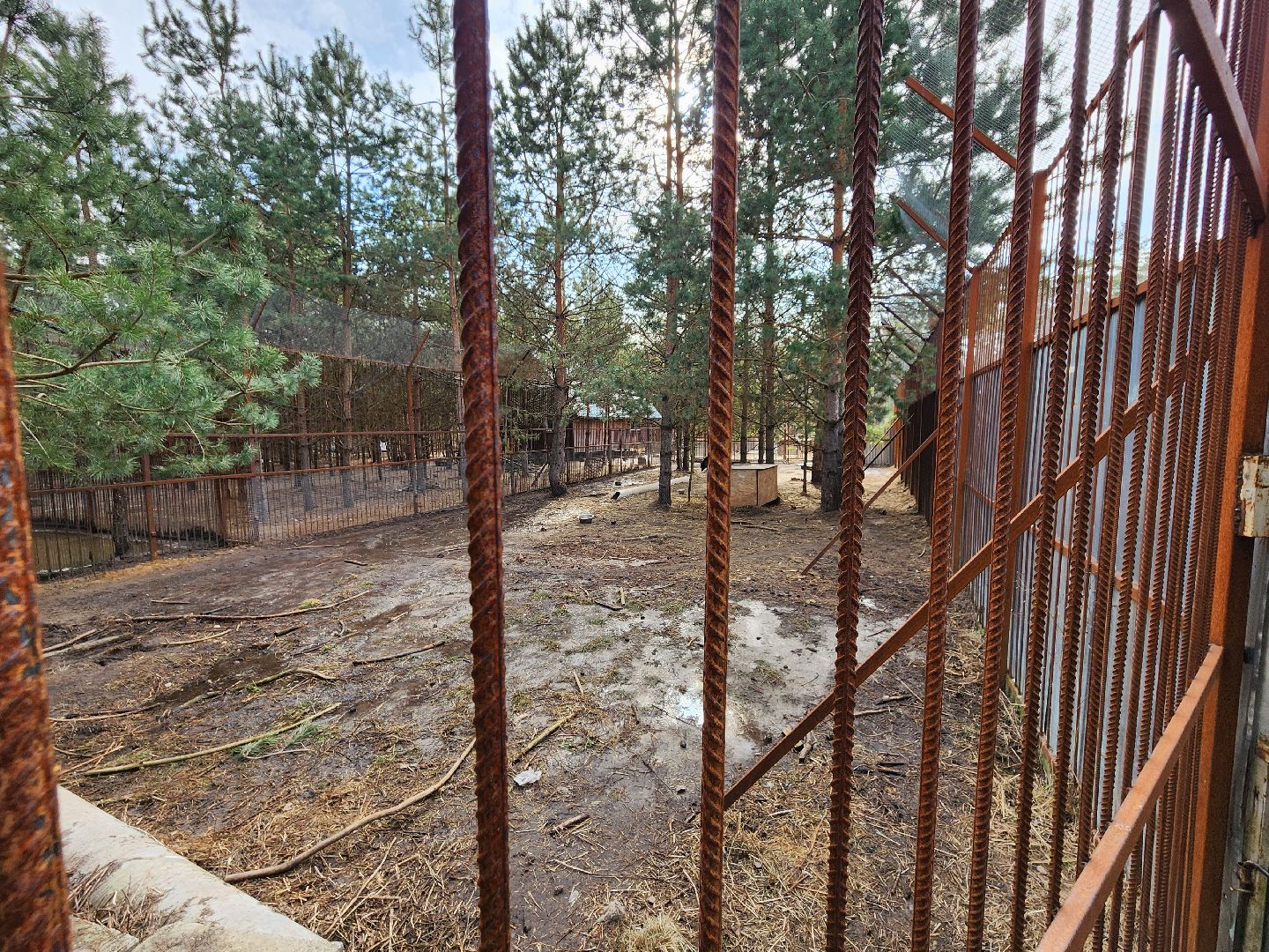 приют, волонтеры, благотворительность,