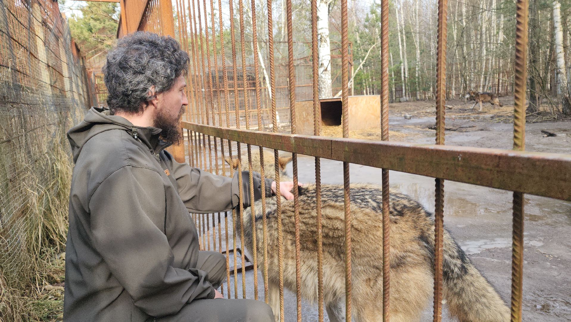 приют, волонтеры, благотворительность,