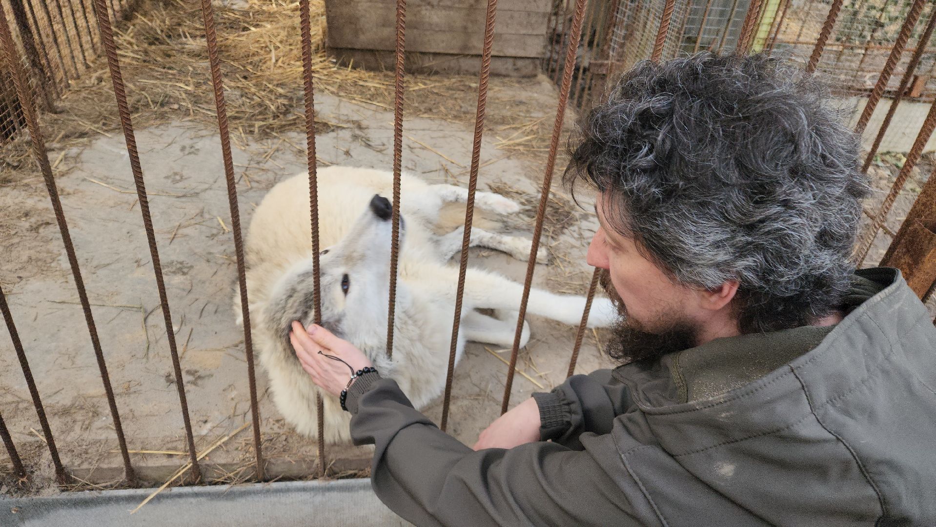 приют, волонтеры, благотворительность,