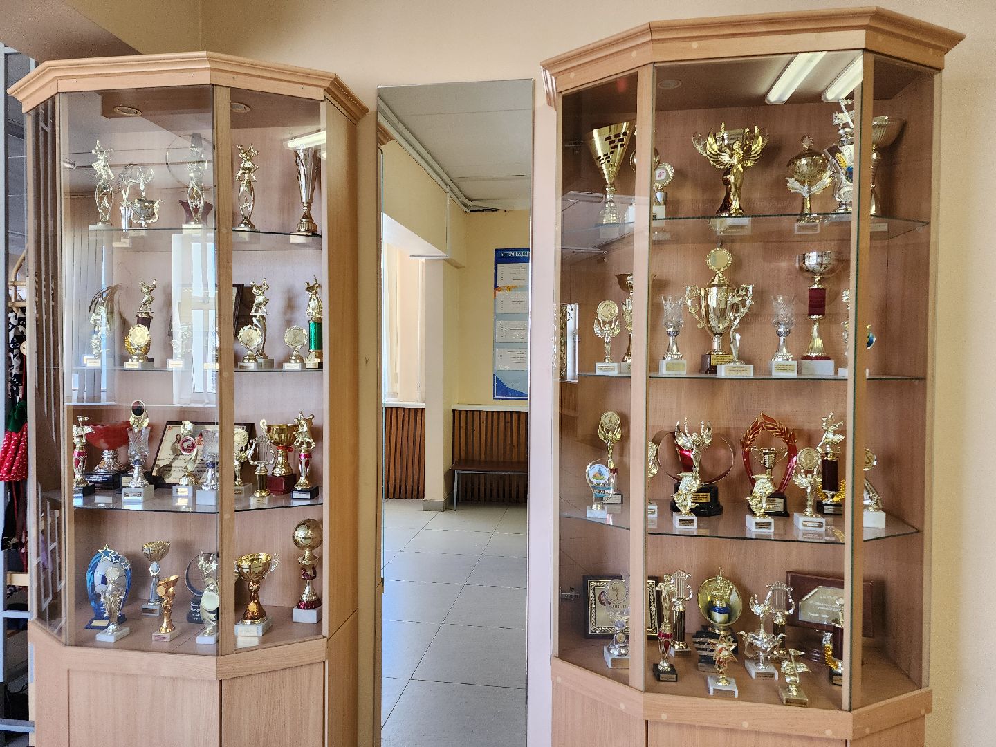 олимпиада, образование, призеры,