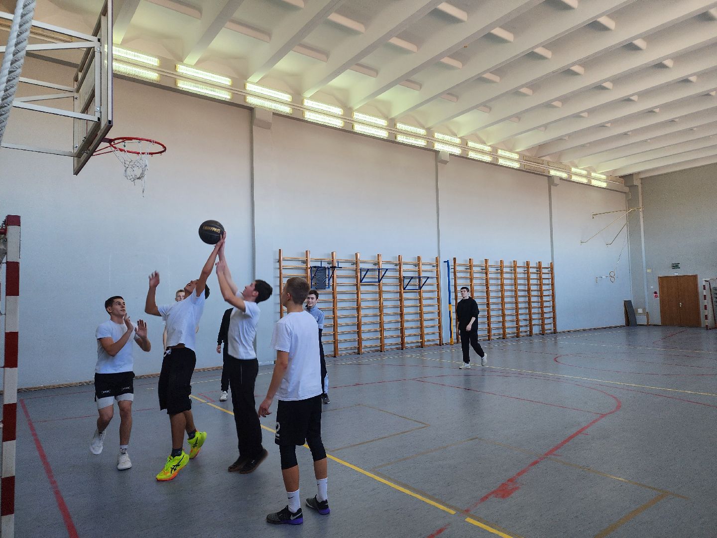 олимпиада, образование, призеры,