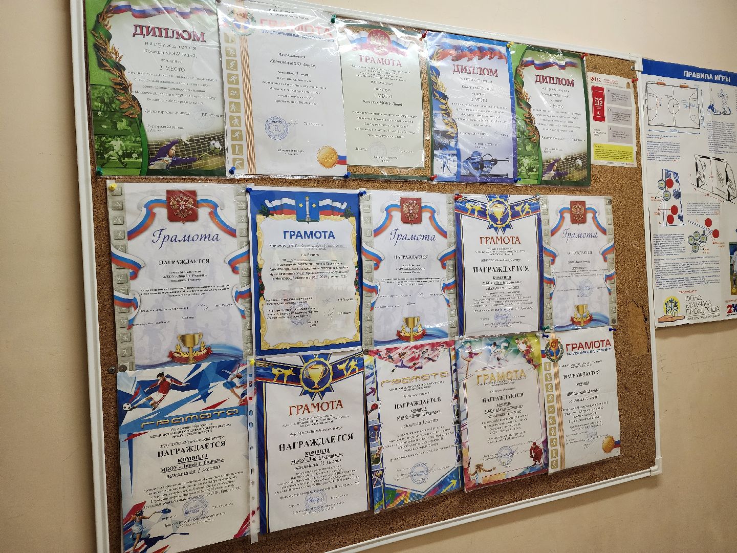 олимпиада, образование, призеры,