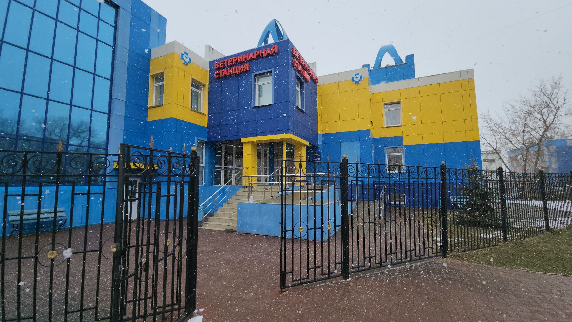 ступино, вакцианация от бешенства, ветеринария, медицина,