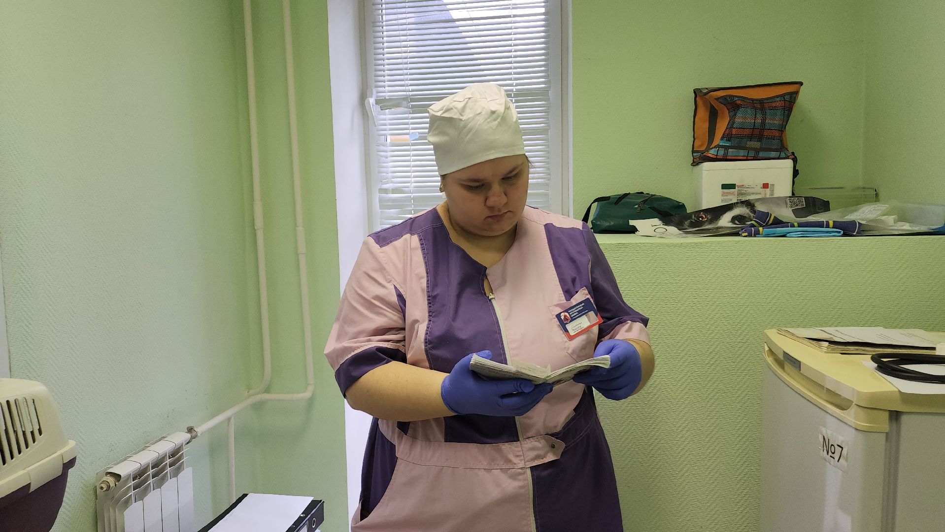 ступино, вакцианация от бешенства, ветеринария, медицина,