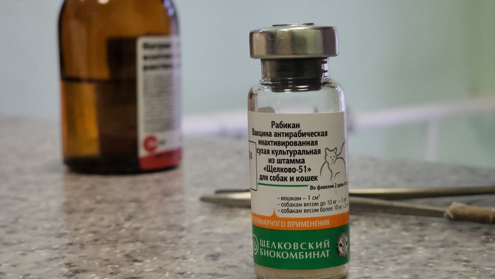 ступино, вакцианация от бешенства, ветеринария, медицина,