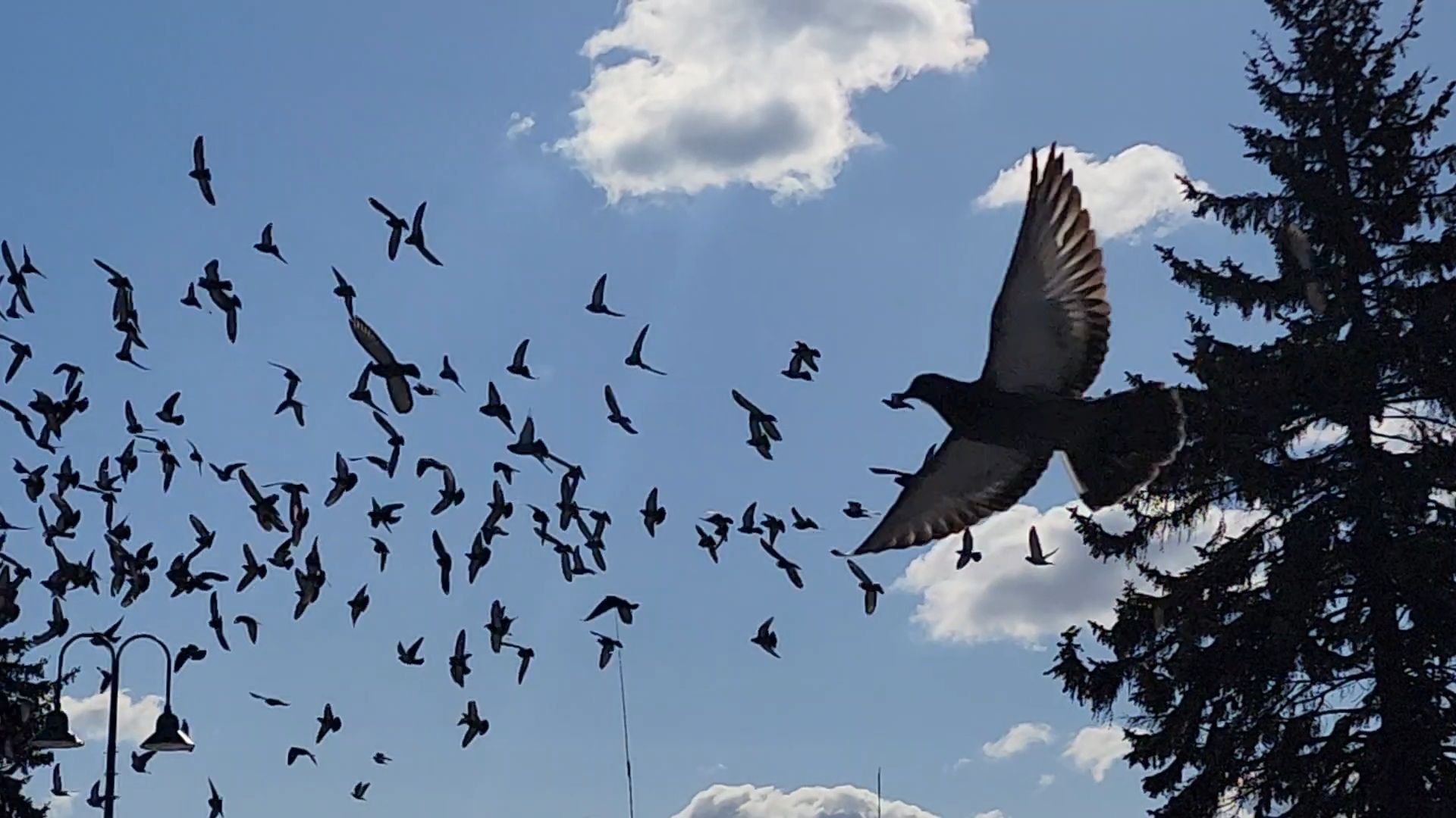 Бронницы, Севастопольский вальс, Молодежный центр Алиби, Воссоединение Крыма с Россией,