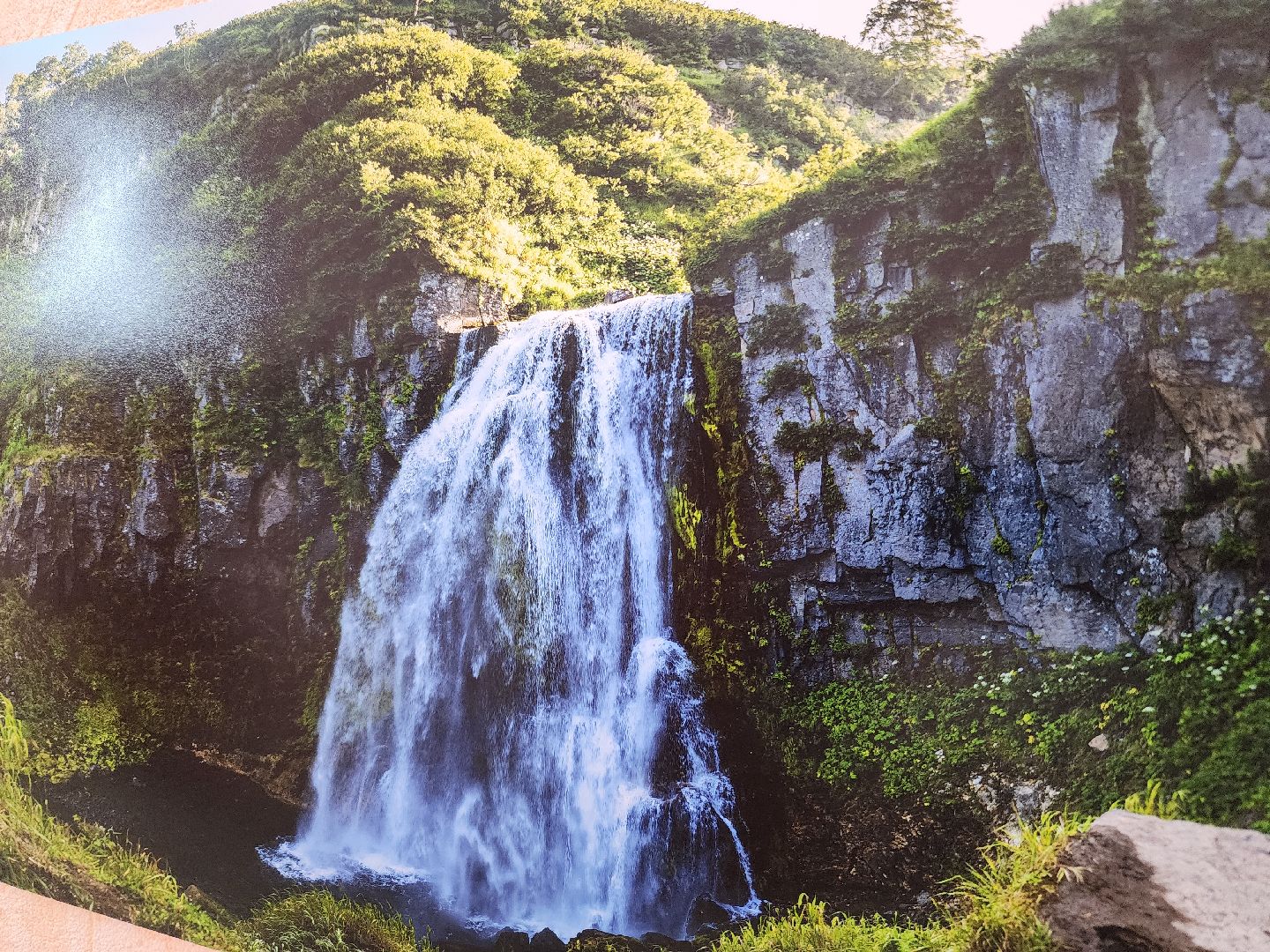 фотовыставка, ликино-дулево, орехово-зуевский округ,