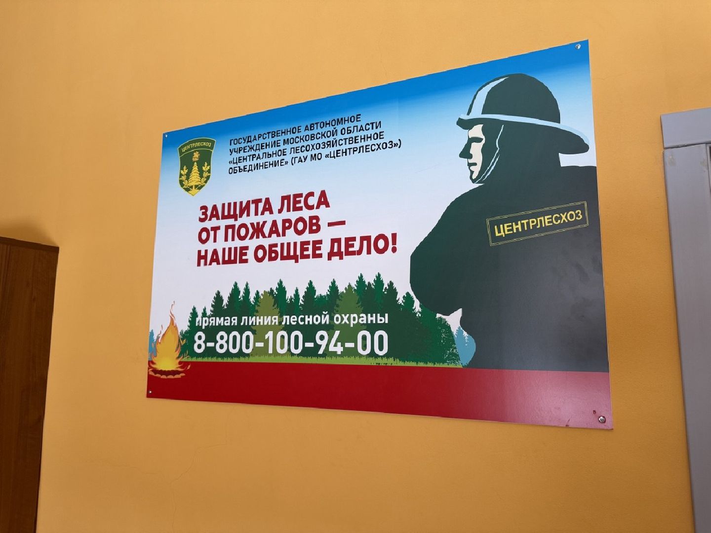 пожар, балашиха,