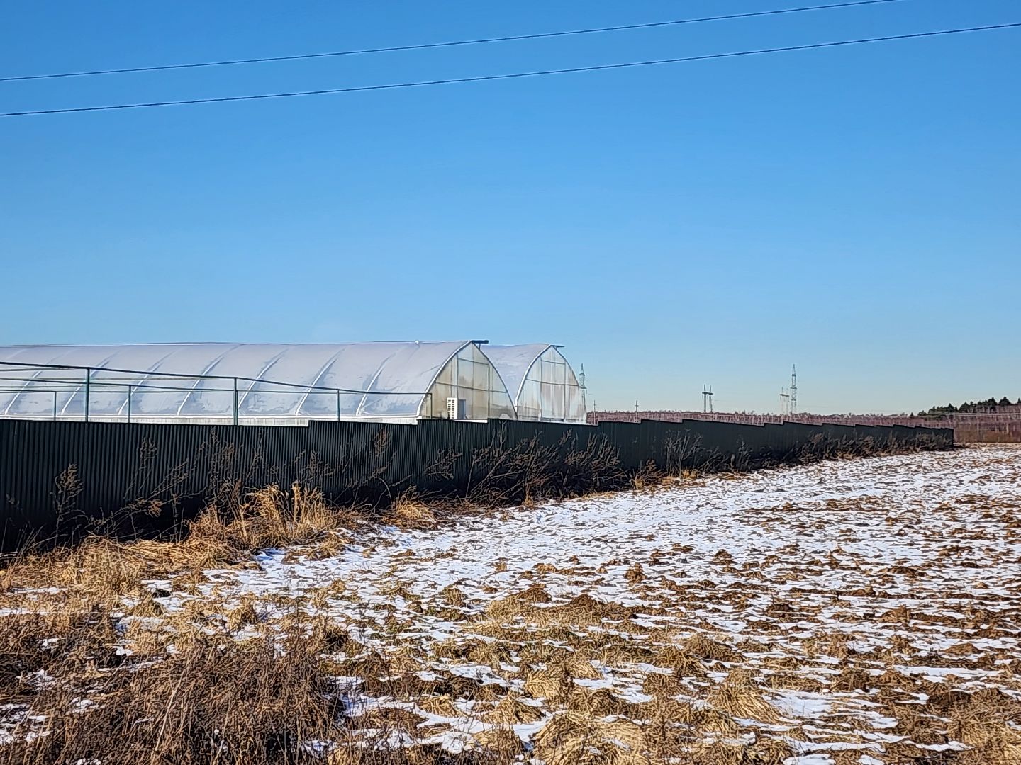Чехов, деревня Хлевино, тепличный комплекс, садовый центр, расширение, новые теплицы, новые рабочие места, дополнительные налоги, растениеводство, овощи, цветы, увеличение объемов производства,
