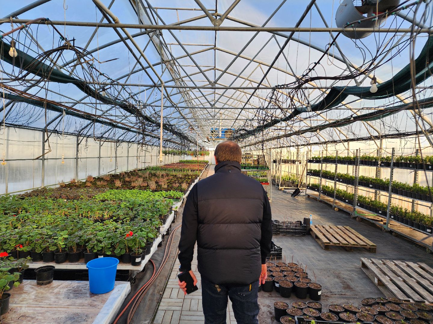 Чехов, деревня Хлевино, тепличный комплекс, садовый центр, расширение, новые теплицы, новые рабочие места, дополнительные налоги, растениеводство, овощи, цветы, увеличение объемов производства,