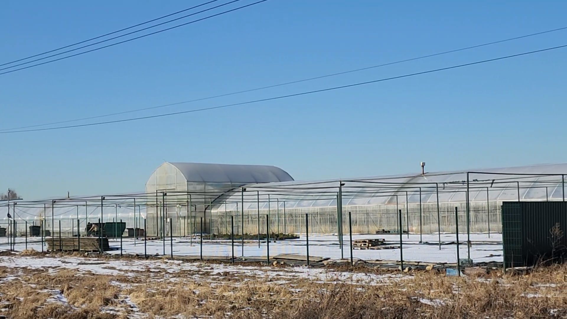Чехов, деревня Хлевино, тепличный комплекс, садовый центр, расширение, новые теплицы, новые рабочие места, дополнительные налоги, растениеводство, овощи, цветы, увеличение объемов производства,