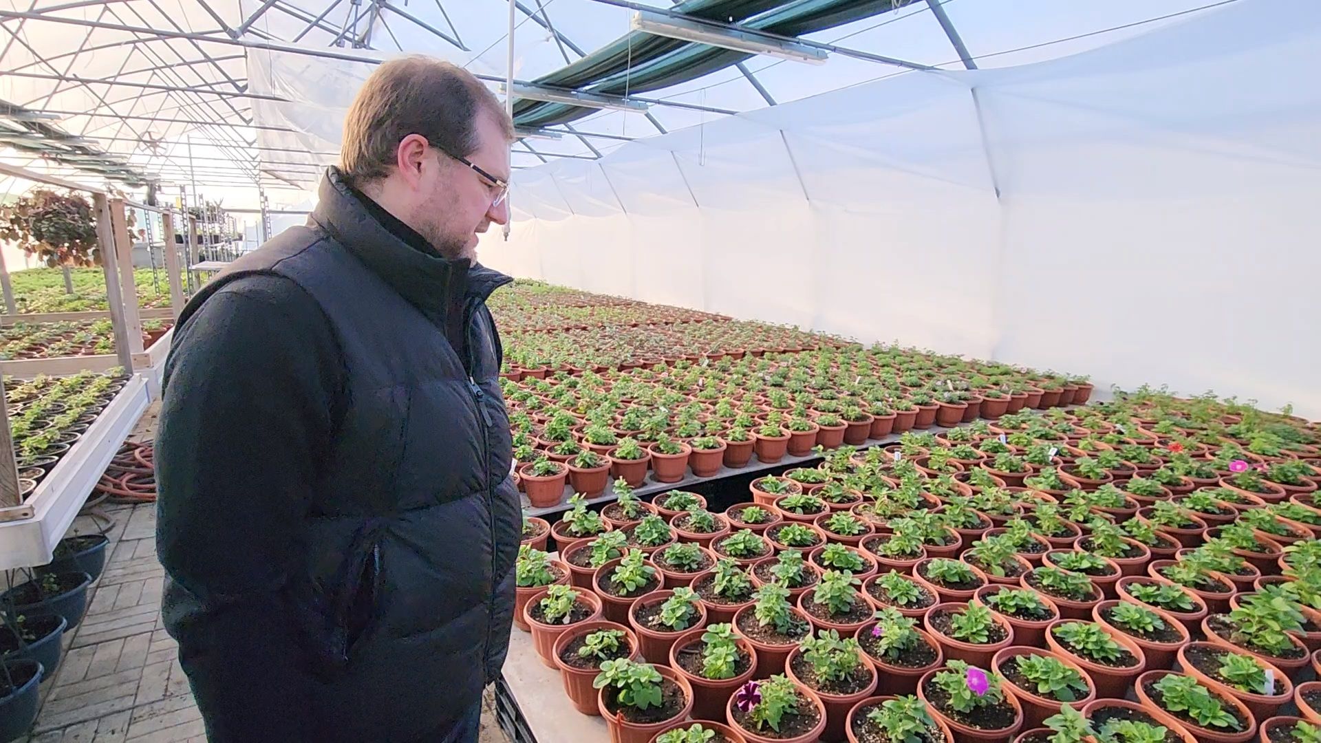 Чехов, деревня Хлевино, тепличный комплекс, садовый центр, расширение, новые теплицы, новые рабочие места, дополнительные налоги, растениеводство, овощи, цветы, увеличение объемов производства,