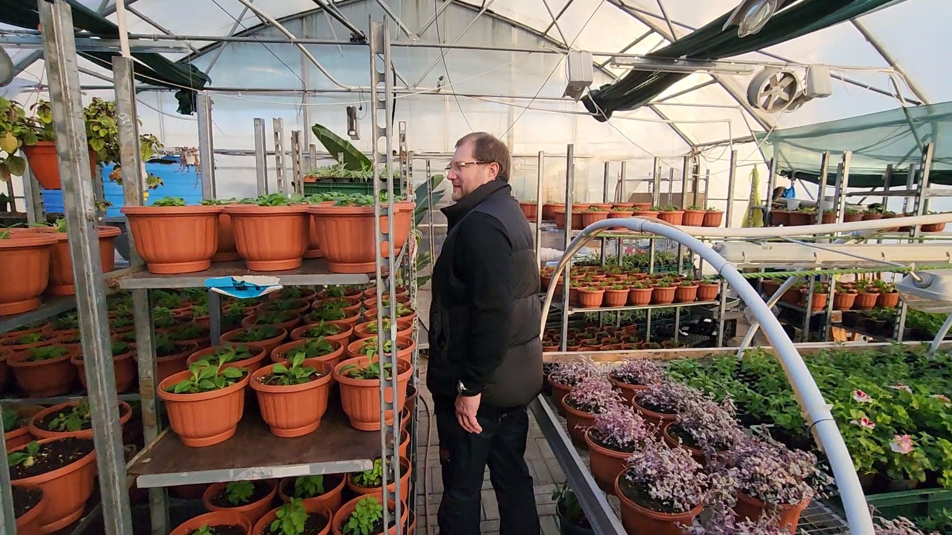 Чехов, деревня Хлевино, тепличный комплекс, садовый центр, расширение, новые теплицы, новые рабочие места, дополнительные налоги, растениеводство, овощи, цветы, увеличение объемов производства,