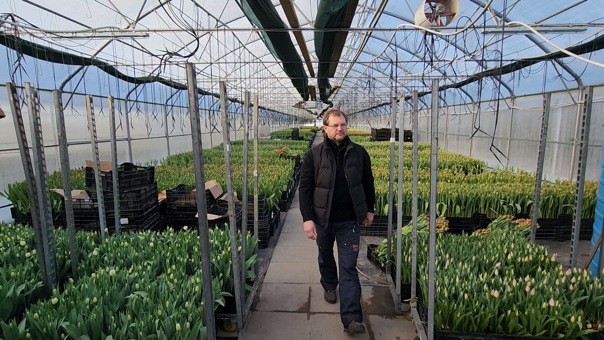 Чехов, деревня Хлевино, тепличный комплекс, садовый центр, расширение, новые теплицы, новые рабочие места, дополнительные налоги, растениеводство, овощи, цветы, увеличение объемов производства,