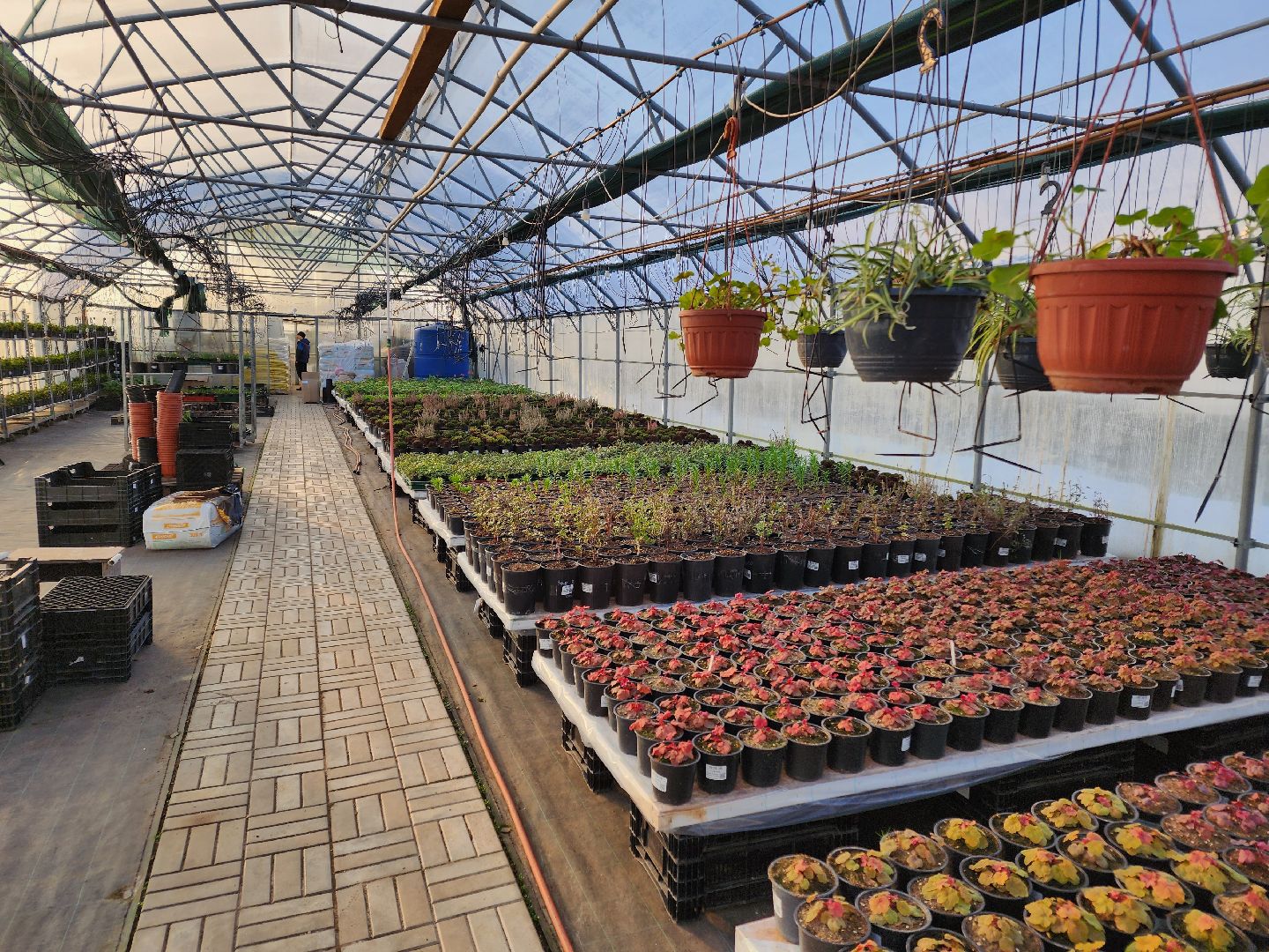 Чехов, деревня Хлевино, тепличный комплекс, садовый центр, расширение, новые теплицы, новые рабочие места, дополнительные налоги, растениеводство, овощи, цветы, увеличение объемов производства,