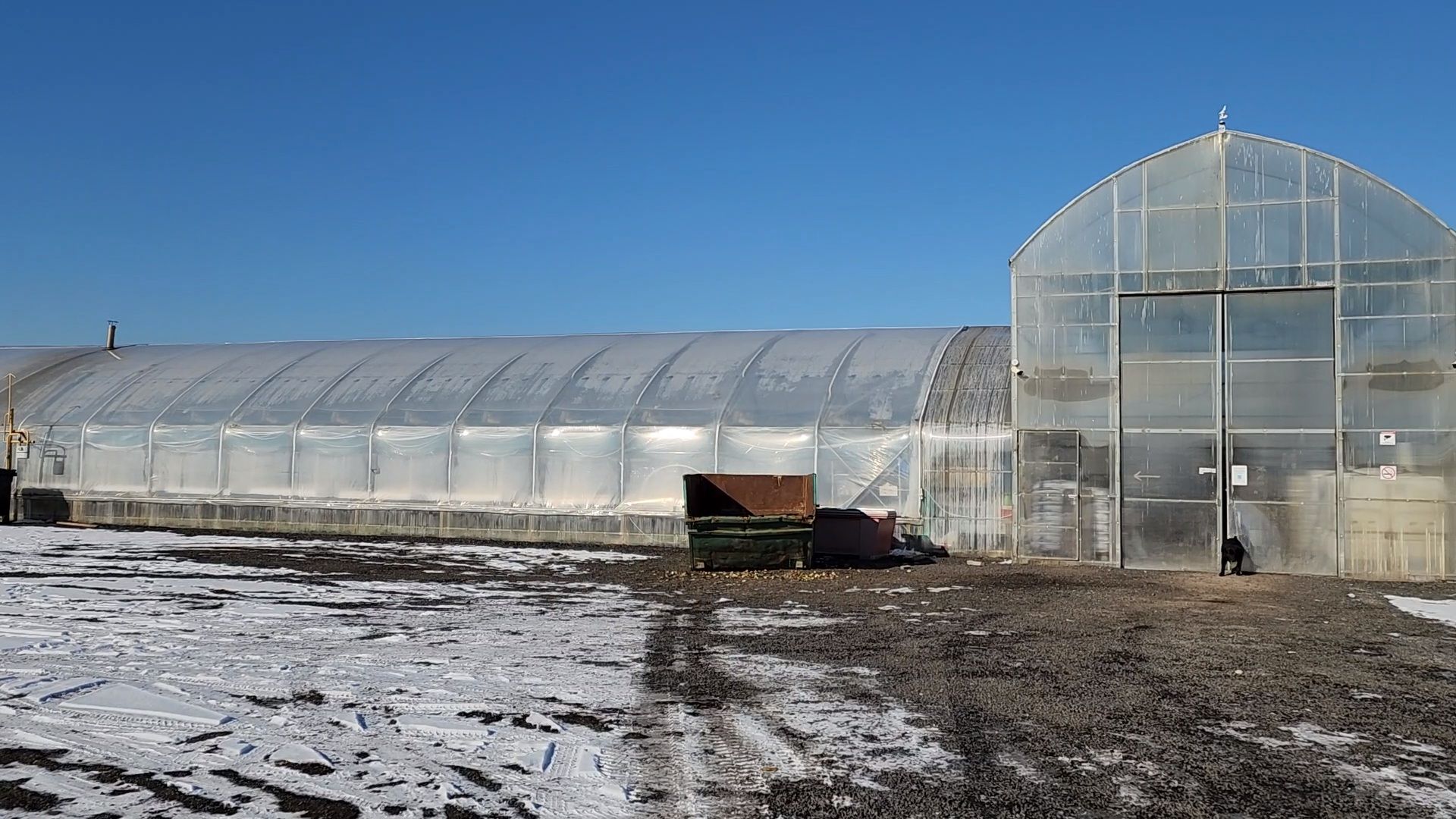 Чехов, деревня Хлевино, тепличный комплекс, садовый центр, расширение, новые теплицы, новые рабочие места, дополнительные налоги, растениеводство, овощи, цветы, увеличение объемов производства,