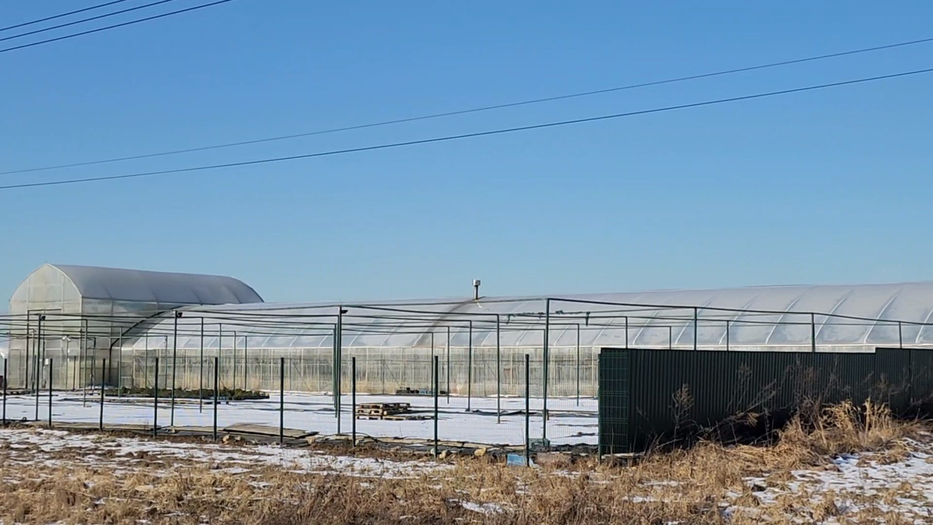 Чехов, деревня Хлевино, тепличный комплекс, садовый центр, расширение, новые теплицы, новые рабочие места, дополнительные налоги, растениеводство, овощи, цветы, увеличение объемов производства,