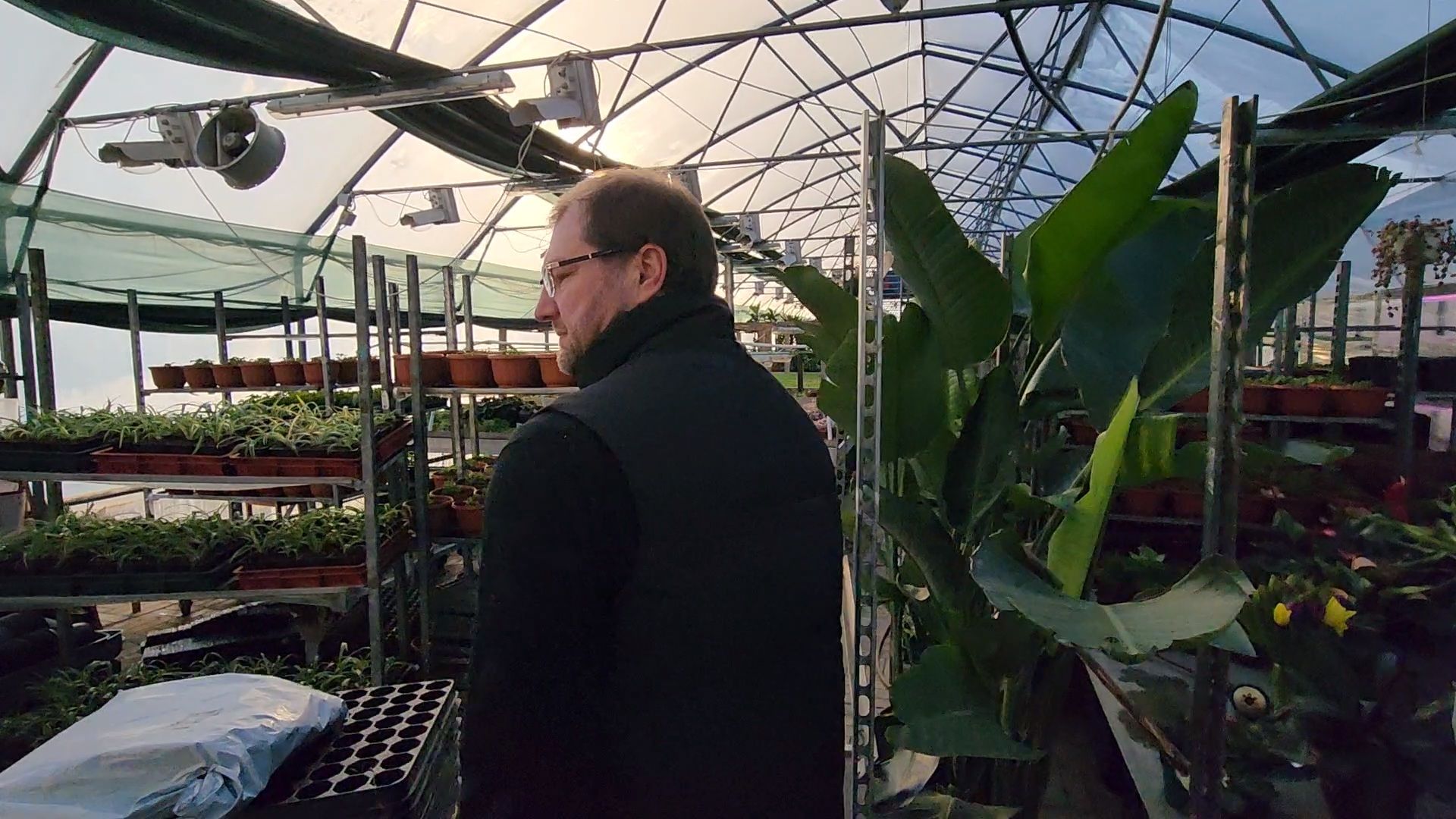 Чехов, деревня Хлевино, тепличный комплекс, садовый центр, расширение, новые теплицы, новые рабочие места, дополнительные налоги, растениеводство, овощи, цветы, увеличение объемов производства,