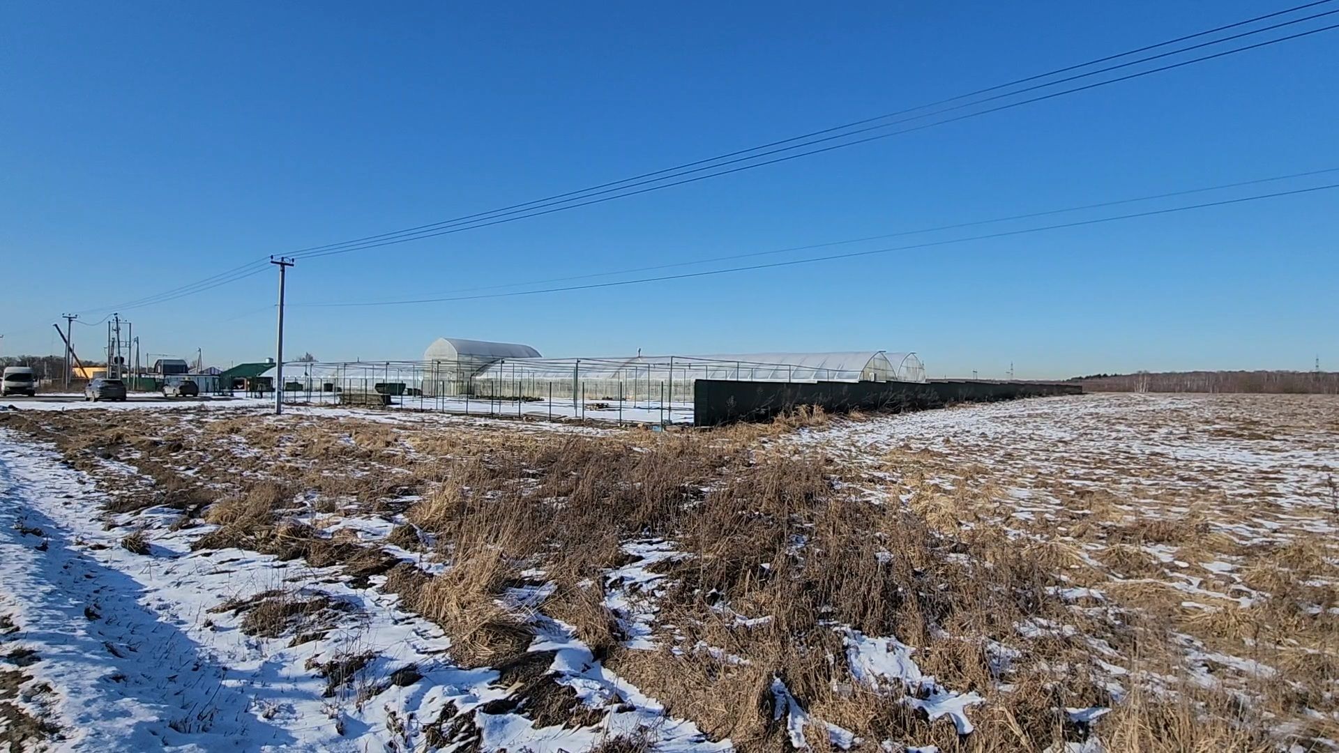 Чехов, деревня Хлевино, тепличный комплекс, садовый центр, расширение, новые теплицы, новые рабочие места, дополнительные налоги, растениеводство, овощи, цветы, увеличение объемов производства,