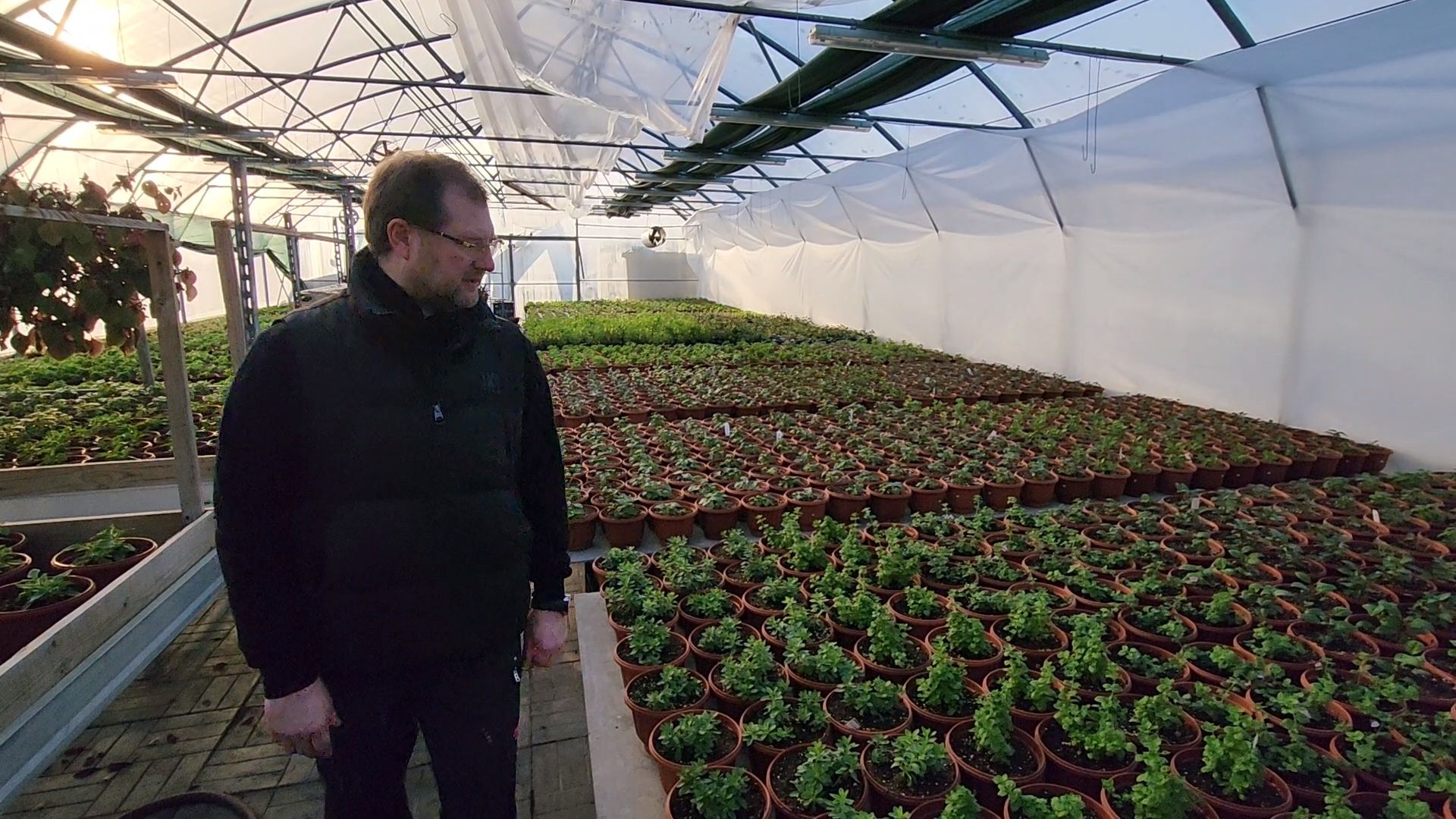 Чехов, деревня Хлевино, тепличный комплекс, садовый центр, расширение, новые теплицы, новые рабочие места, дополнительные налоги, растениеводство, овощи, цветы, увеличение объемов производства,