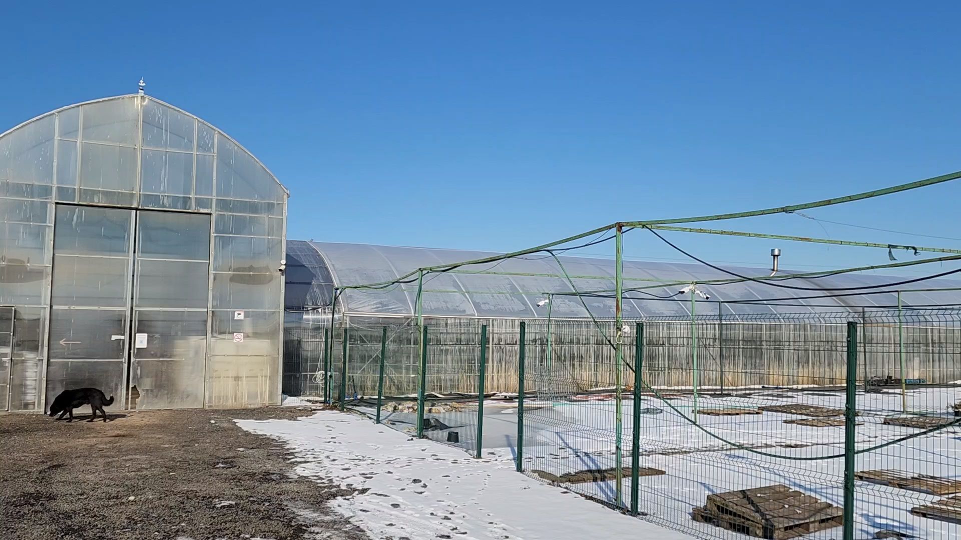 Чехов, деревня Хлевино, тепличный комплекс, садовый центр, расширение, новые теплицы, новые рабочие места, дополнительные налоги, растениеводство, овощи, цветы, увеличение объемов производства,