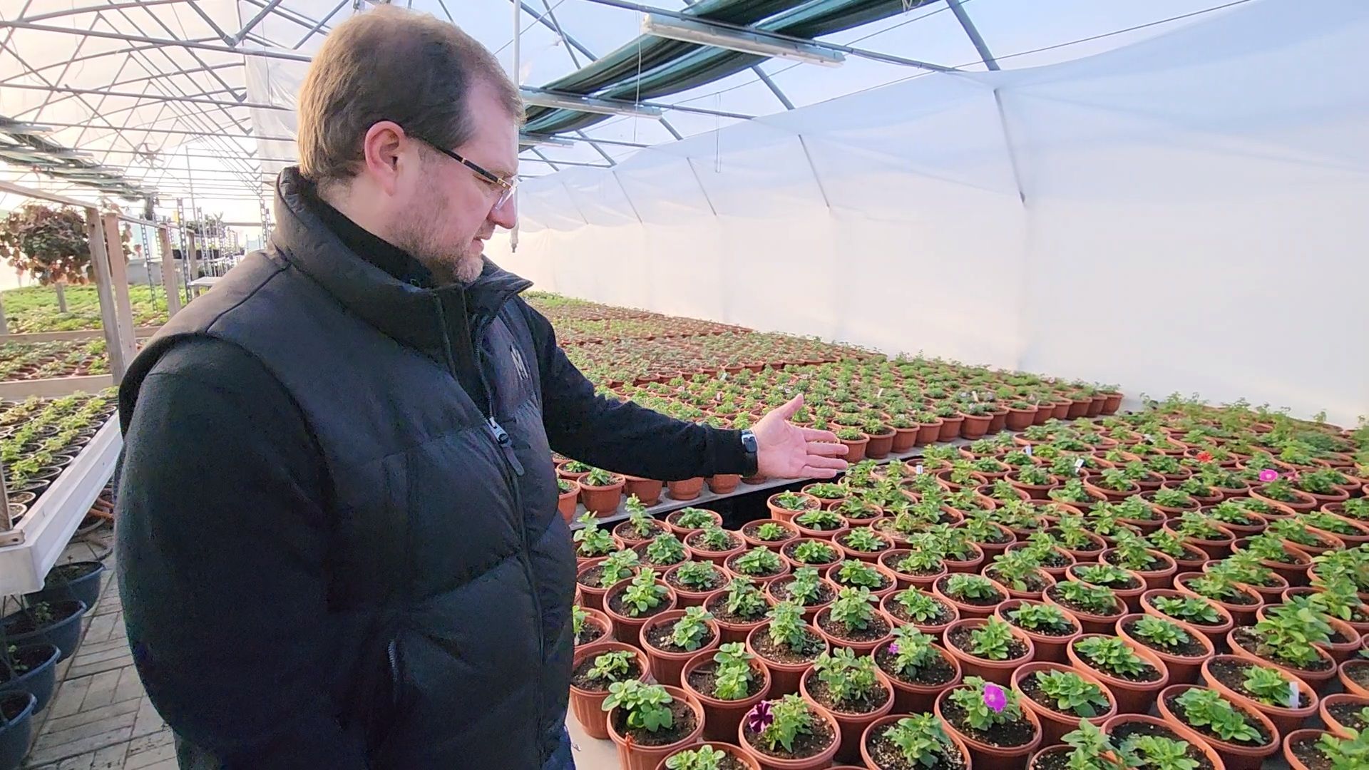 Чехов, деревня Хлевино, тепличный комплекс, садовый центр, расширение, новые теплицы, новые рабочие места, дополнительные налоги, растениеводство, овощи, цветы, увеличение объемов производства,