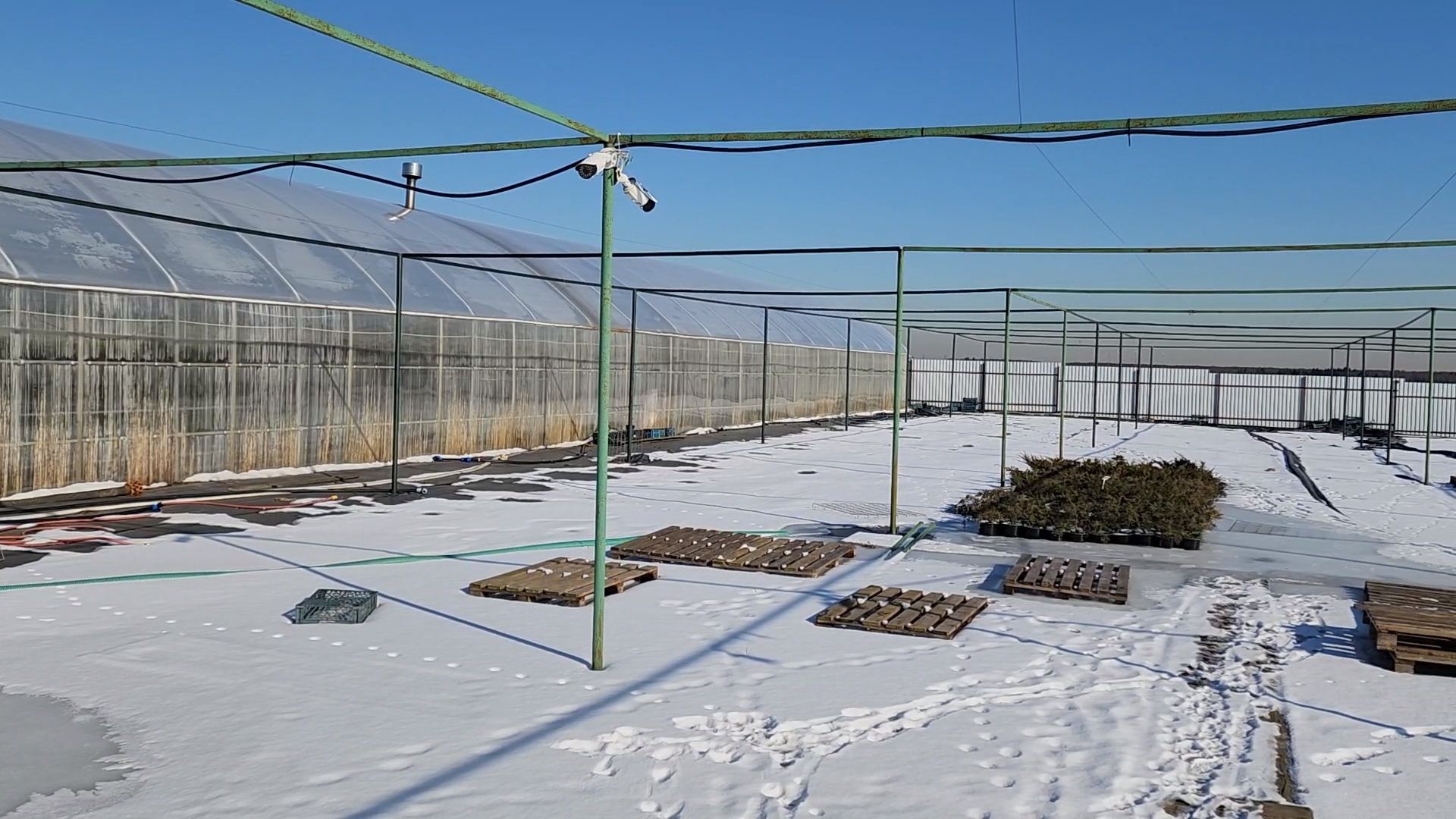 Чехов, деревня Хлевино, тепличный комплекс, садовый центр, расширение, новые теплицы, новые рабочие места, дополнительные налоги, растениеводство, овощи, цветы, увеличение объемов производства,