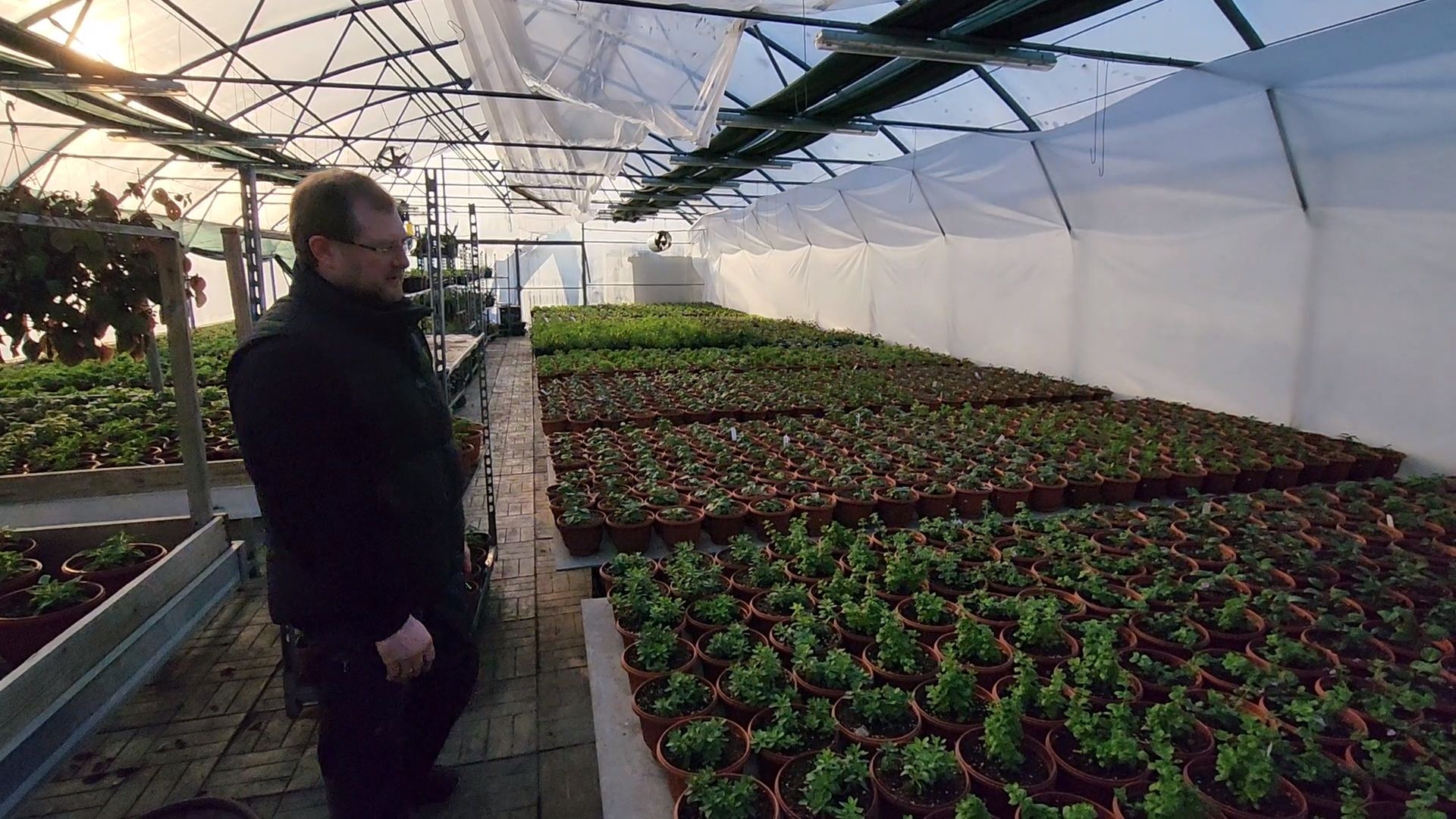 Чехов, деревня Хлевино, тепличный комплекс, садовый центр, расширение, новые теплицы, новые рабочие места, дополнительные налоги, растениеводство, овощи, цветы, увеличение объемов производства,