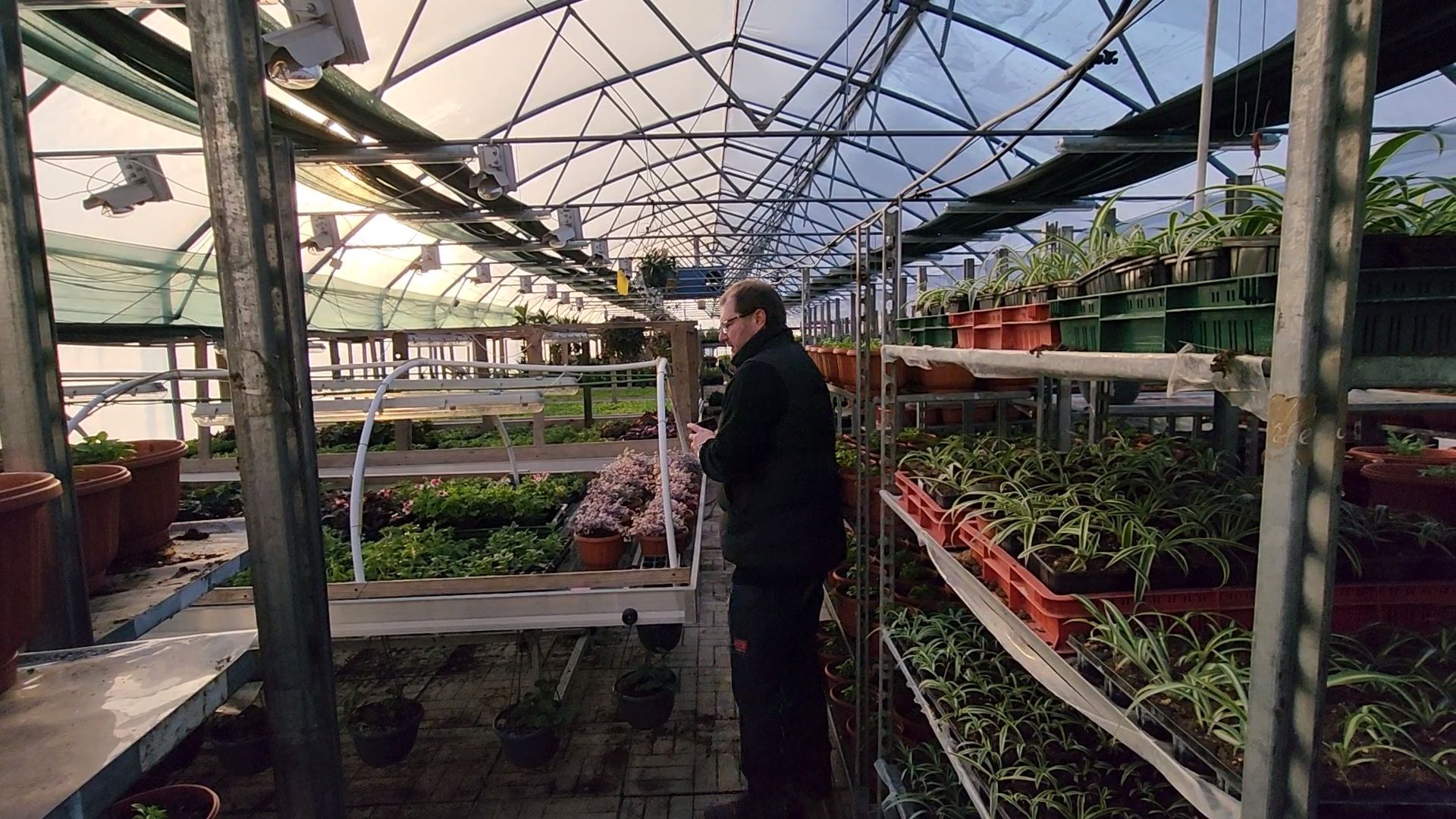 Чехов, деревня Хлевино, тепличный комплекс, садовый центр, расширение, новые теплицы, новые рабочие места, дополнительные налоги, растениеводство, овощи, цветы, увеличение объемов производства,