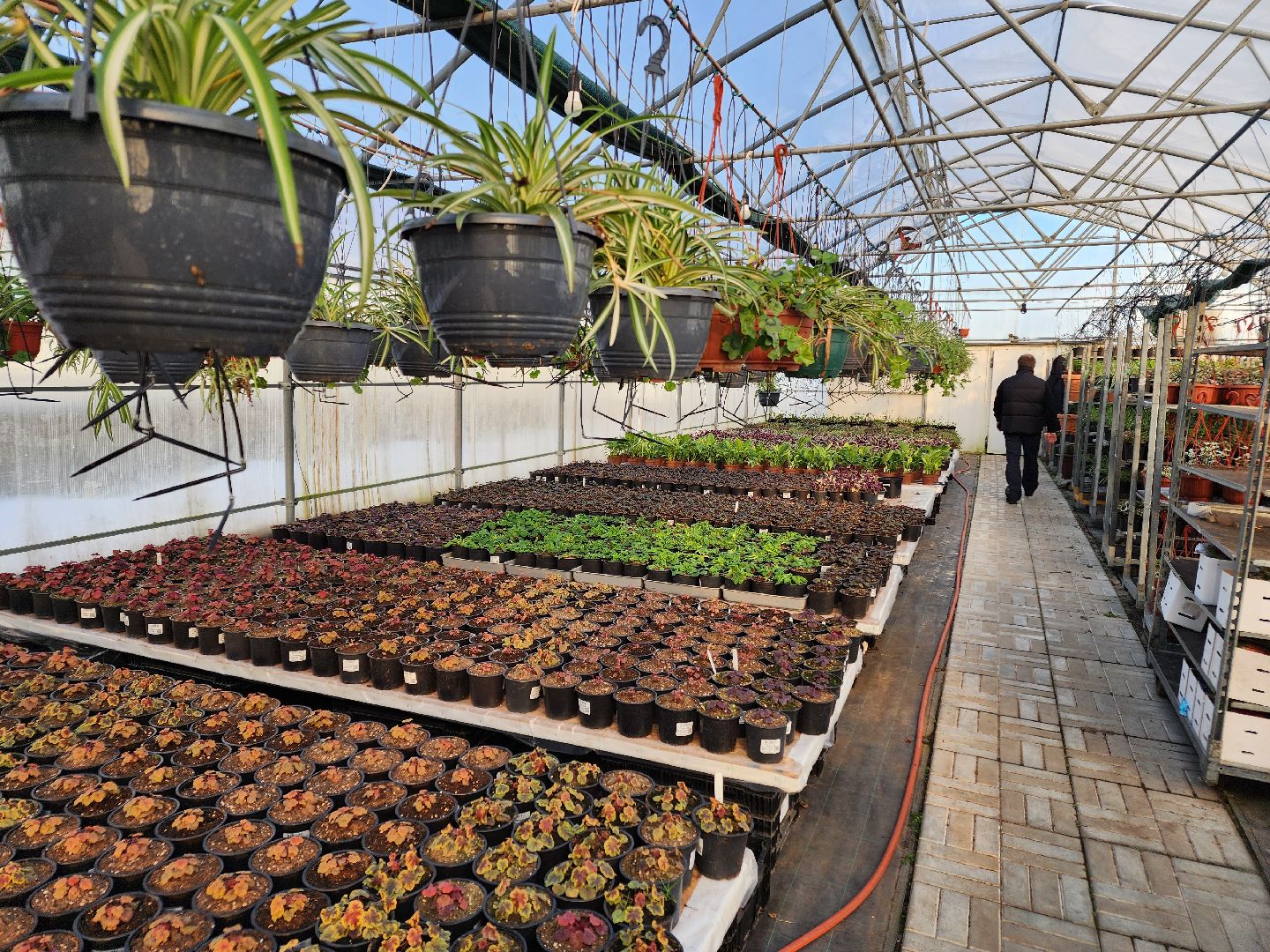 Чехов, деревня Хлевино, тепличный комплекс, садовый центр, расширение, новые теплицы, новые рабочие места, дополнительные налоги, растениеводство, овощи, цветы, увеличение объемов производства,