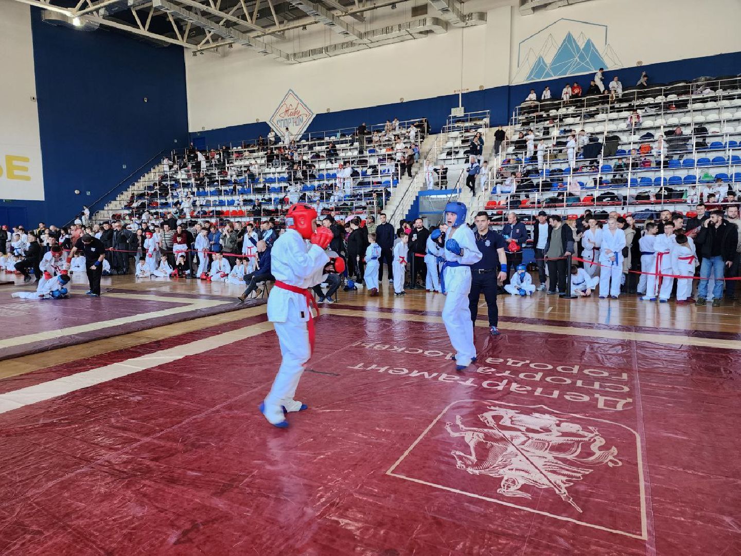 солнечногорск, спорт, рукопашный бой, победа, медали, будущий рукопашник,