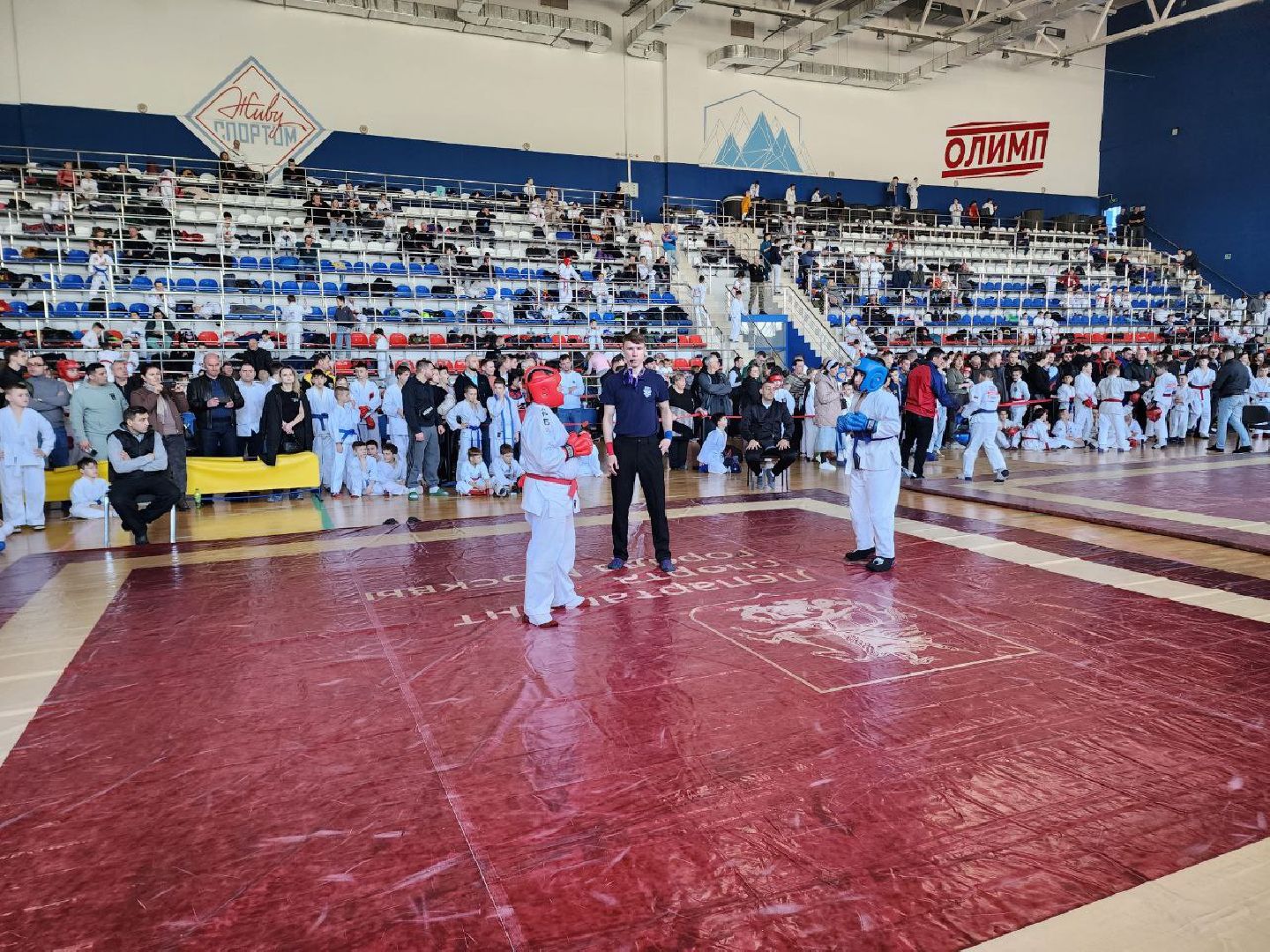 солнечногорск, спорт, рукопашный бой, победа, медали, будущий рукопашник,