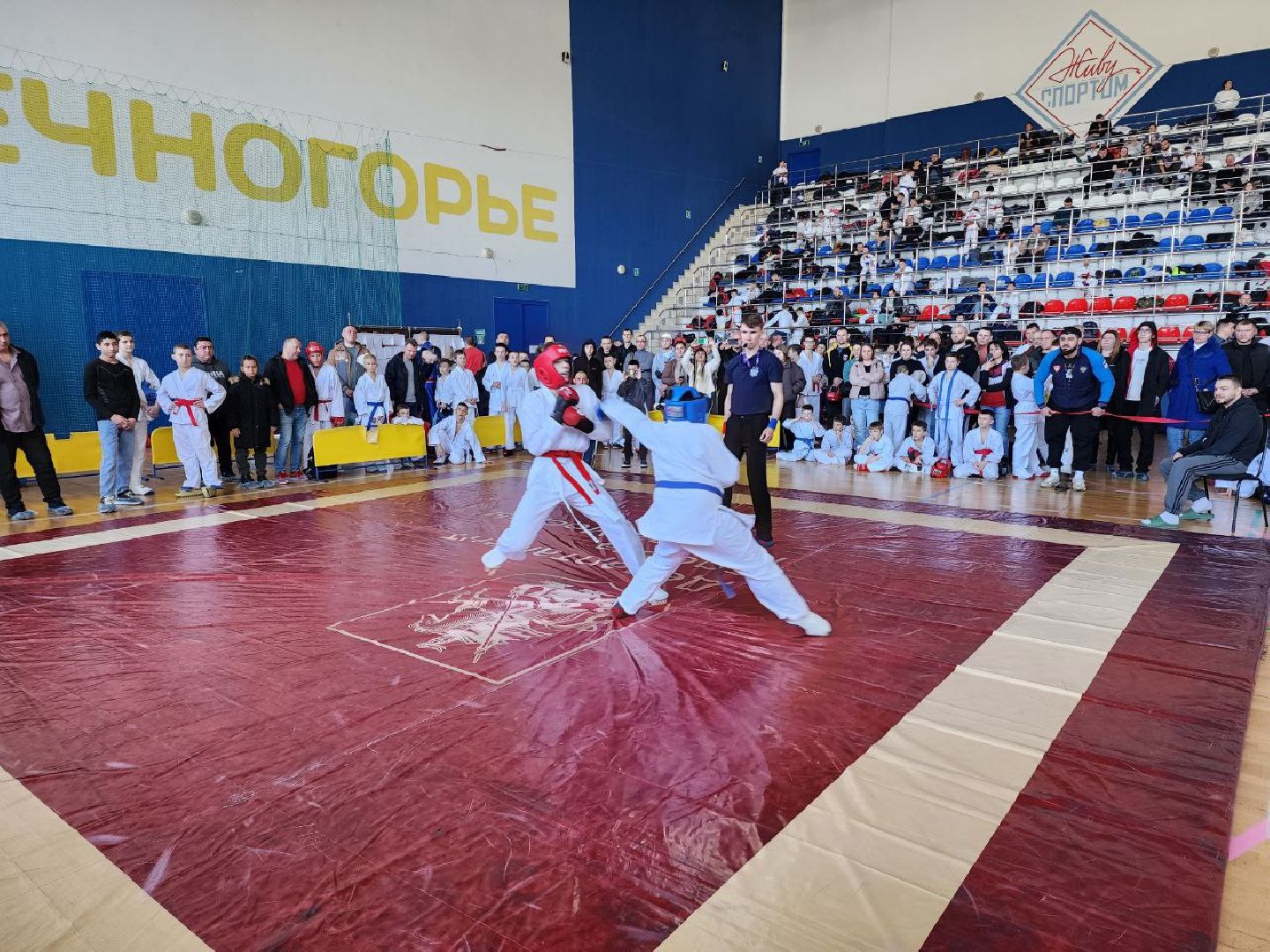 солнечногорск, спорт, рукопашный бой, победа, медали, будущий рукопашник,