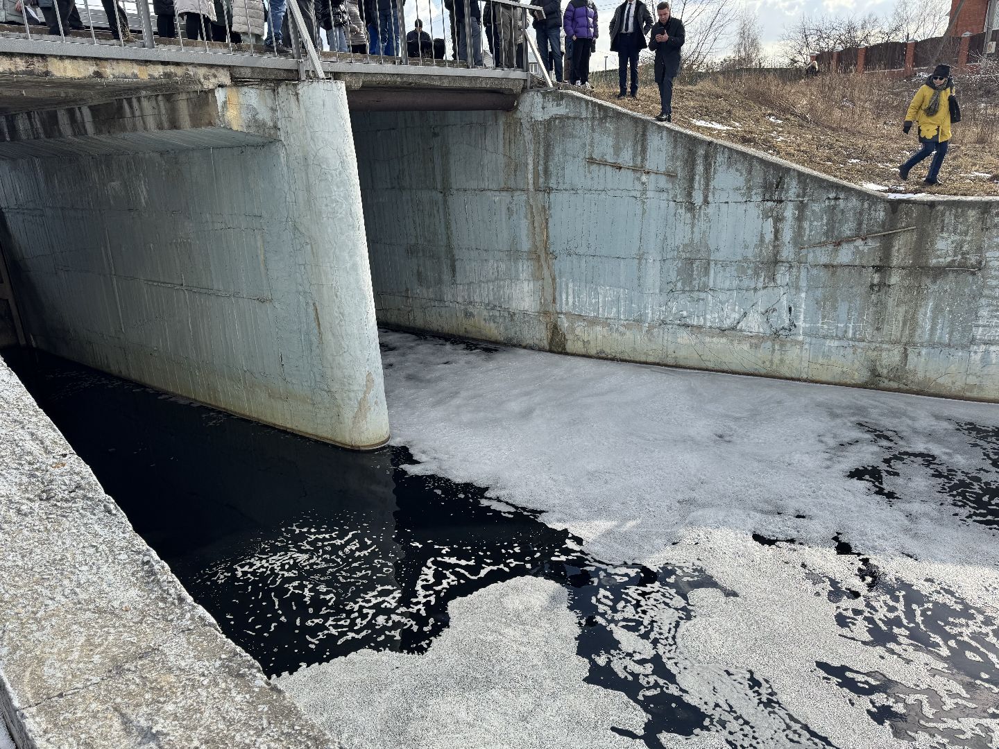 река вьюнка, балашиха, новый милет, экология,