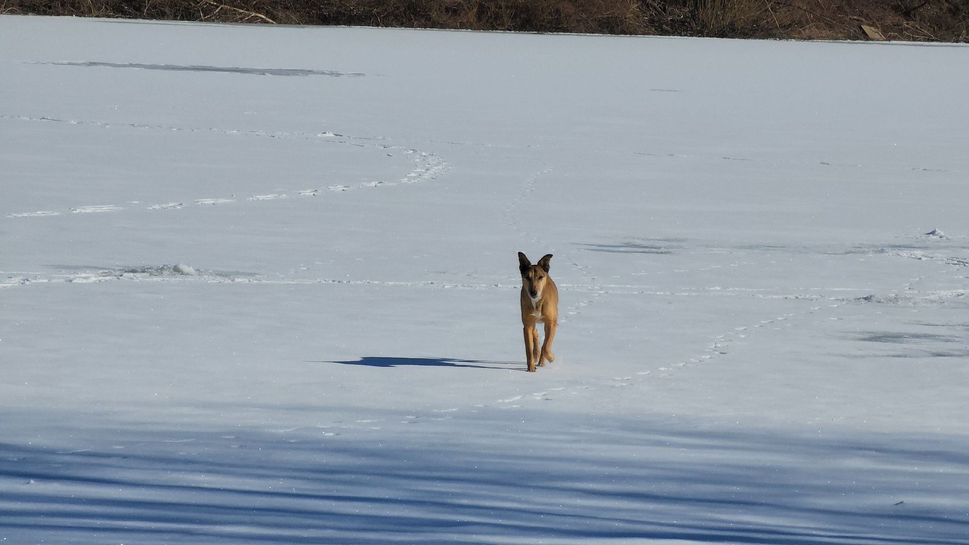 кашира, река, ока, спасатели, рыбаки, тонкий лед, чс, 112,