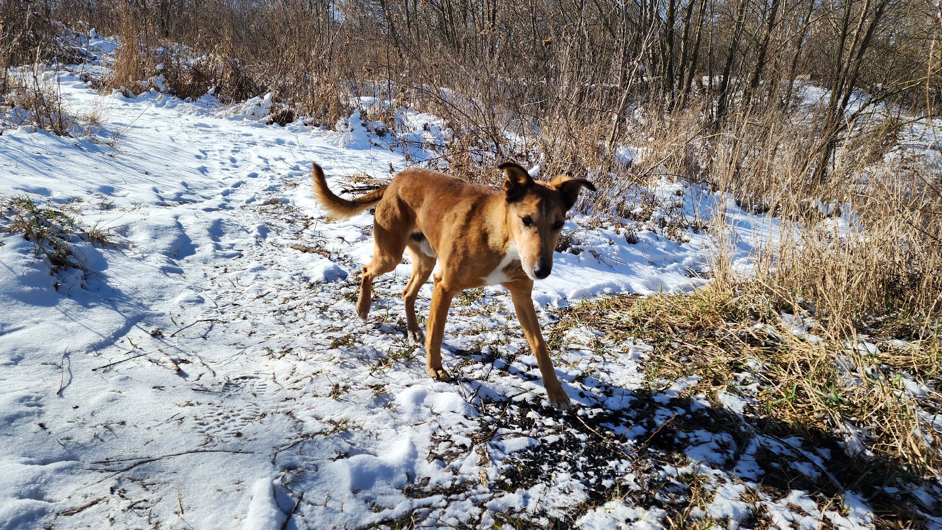 кашира, река, ока, спасатели, рыбаки, тонкий лед, чс, 112,