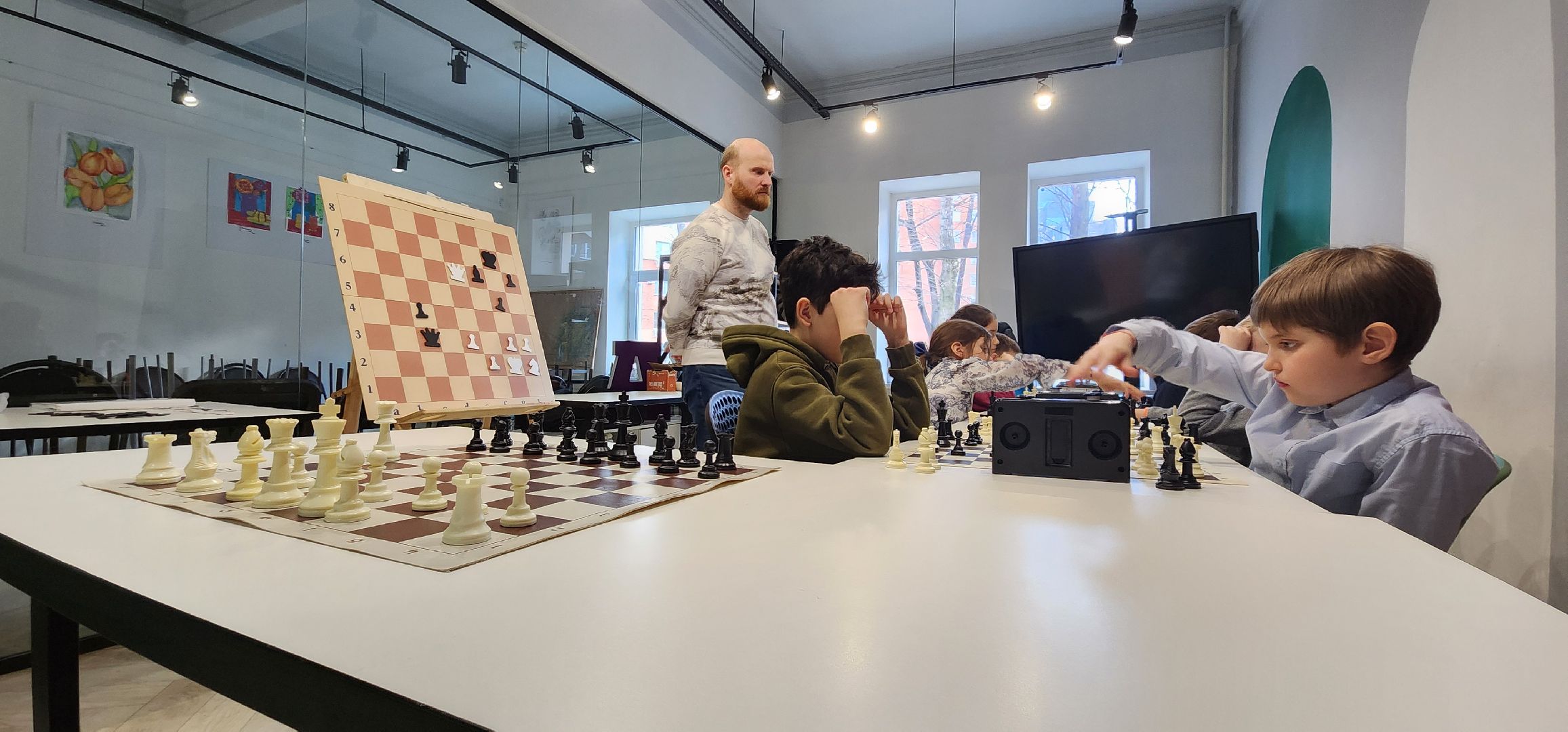 Химки, Шахматы, Спорт, Образование,