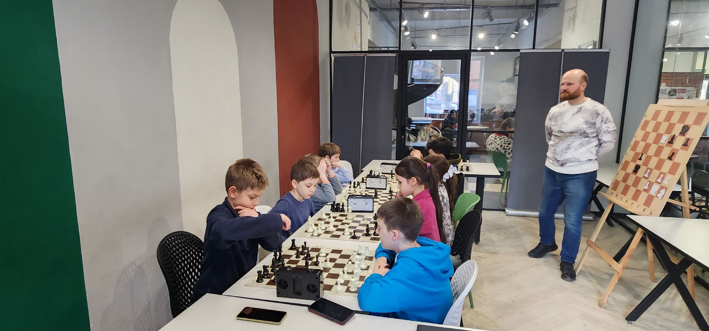 Химки, Шахматы, Спорт, Образование,