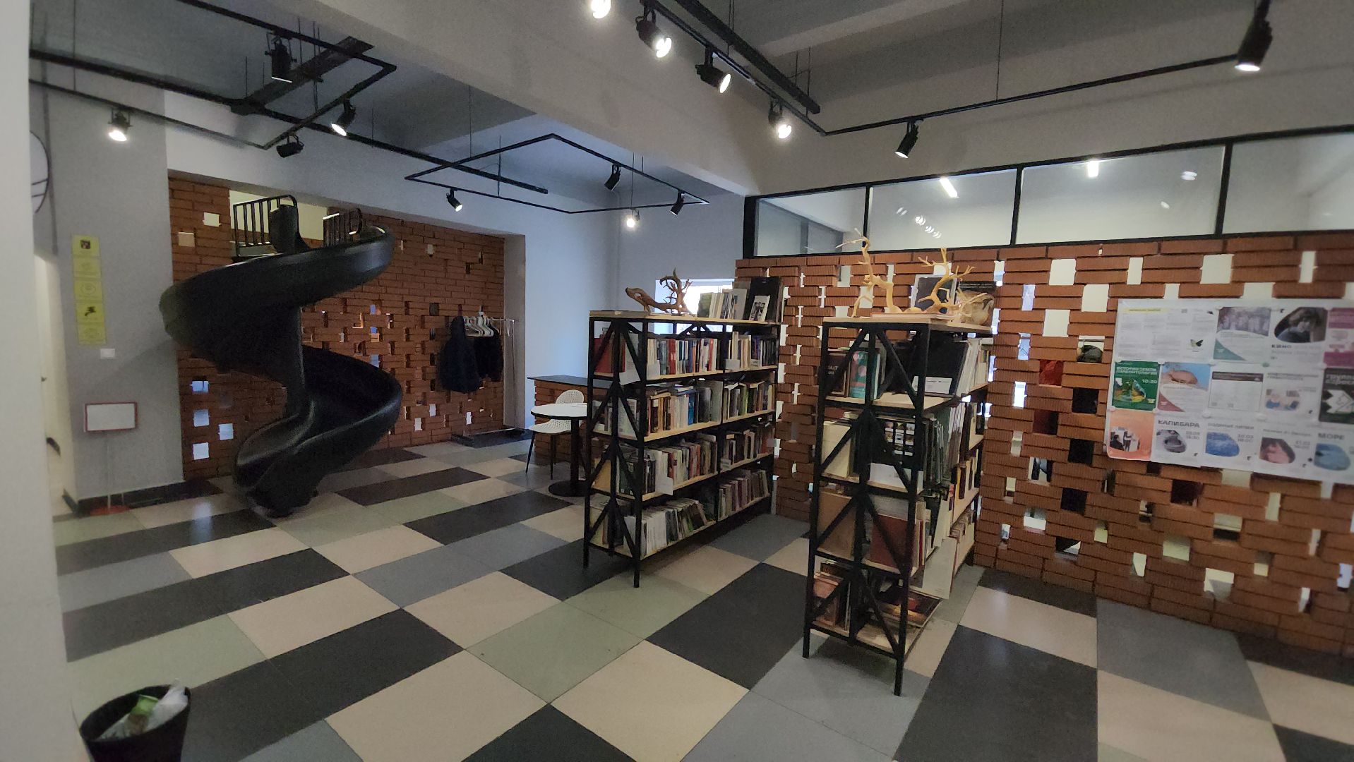 Химки, Шахматы, Спорт, Образование,