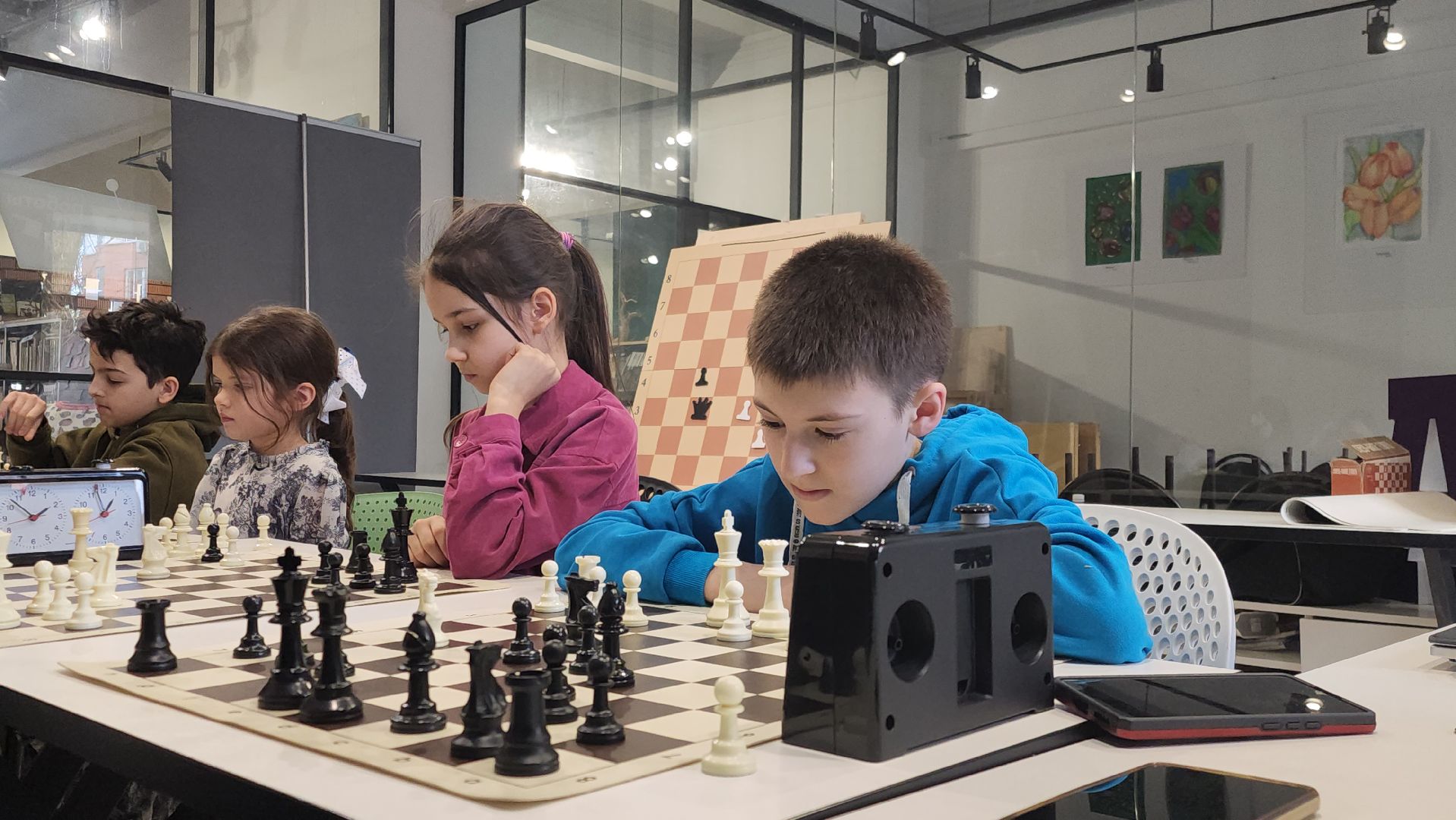 Химки, Шахматы, Спорт, Образование,