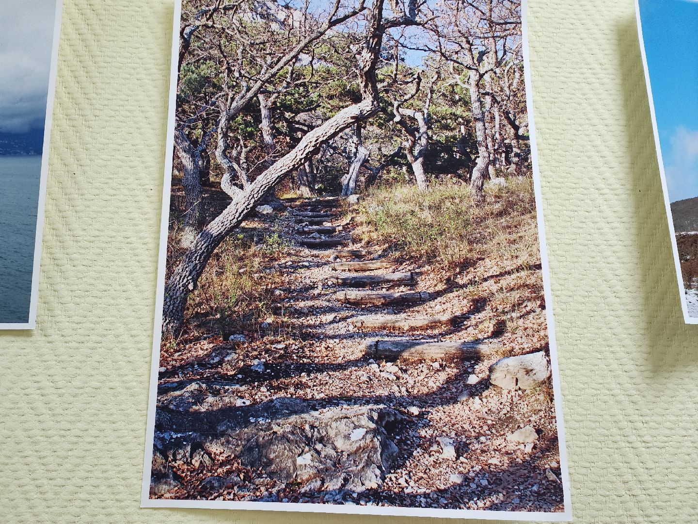 Крым, Природа, Фотовыставка, Шатура, Галина Карпова,