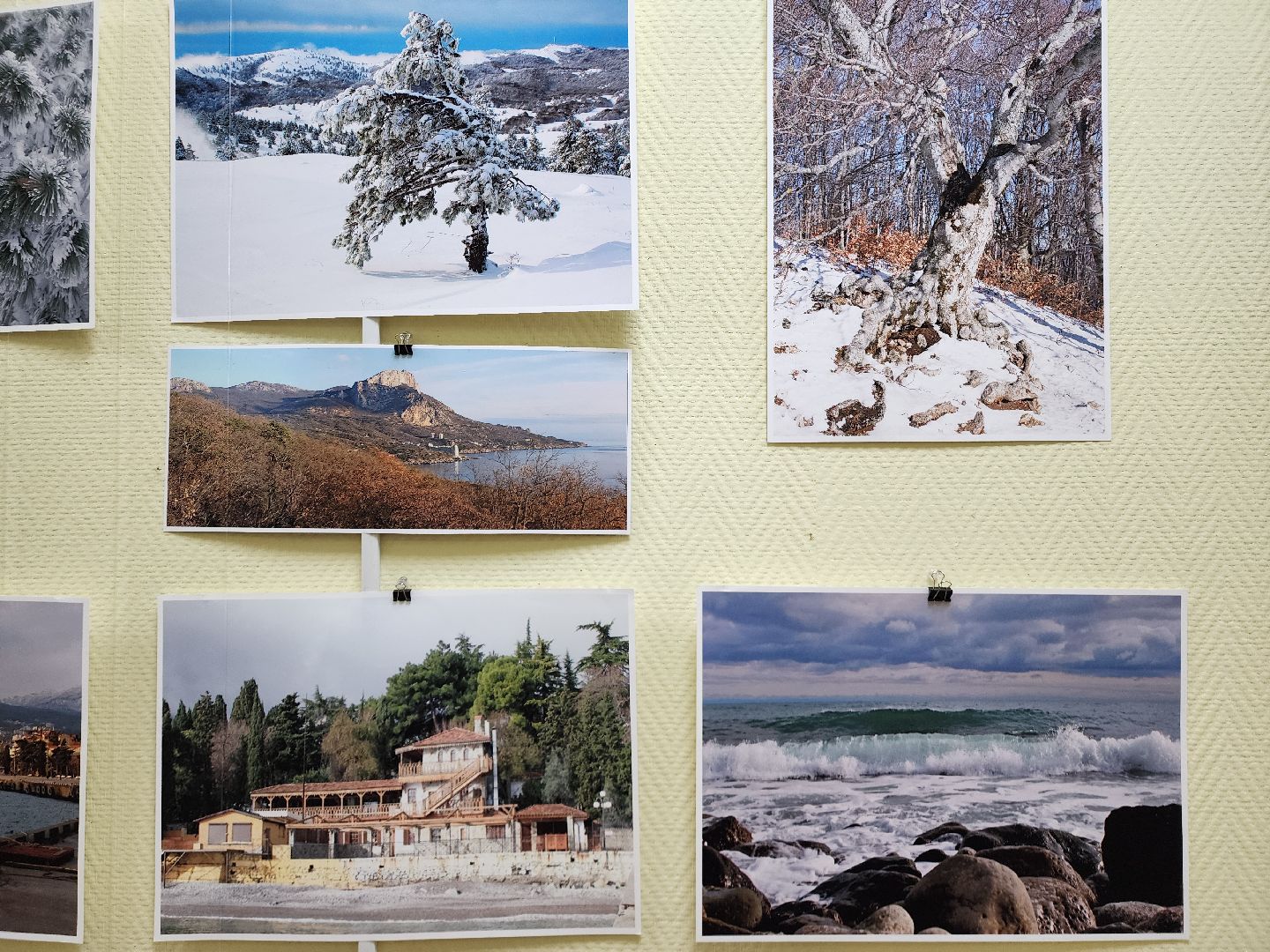 Крым, Природа, Фотовыставка, Шатура, Галина Карпова,