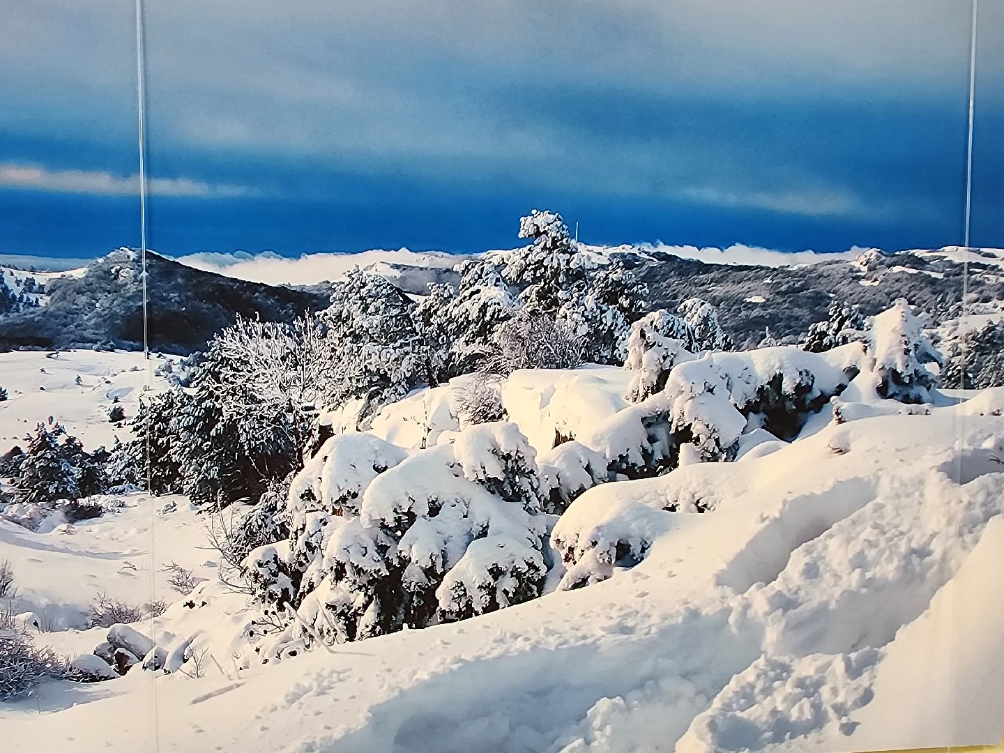 Крым, Природа, Фотовыставка, Шатура, Галина Карпова,