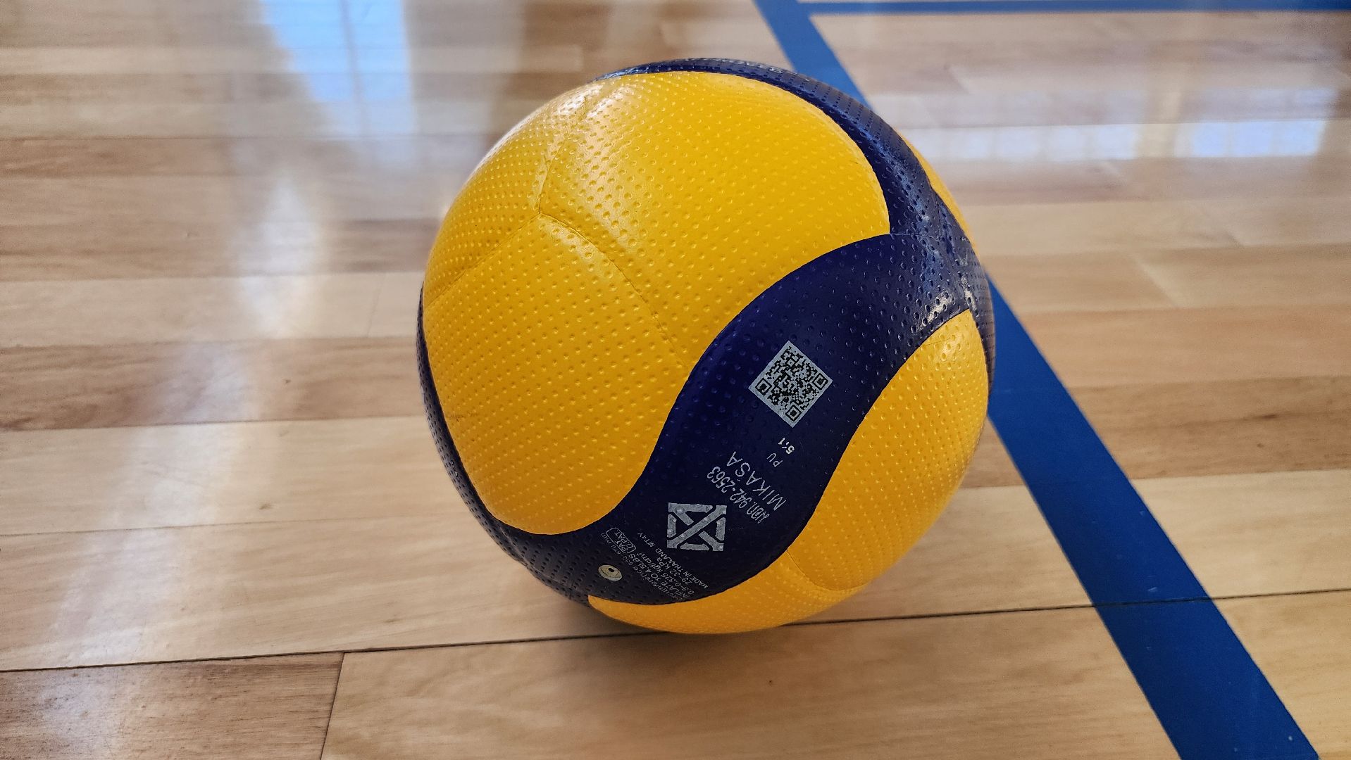 спорт, волейбол, спортивная секция, Старая Купавна, Богородский городской округ,