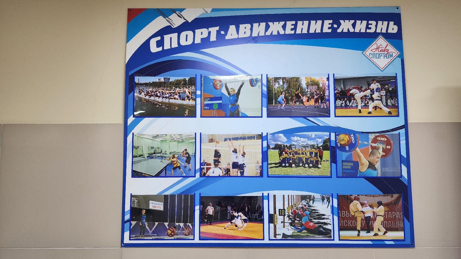 спорт, волейбол, спортивная секция, Старая Купавна, Богородский городской округ,