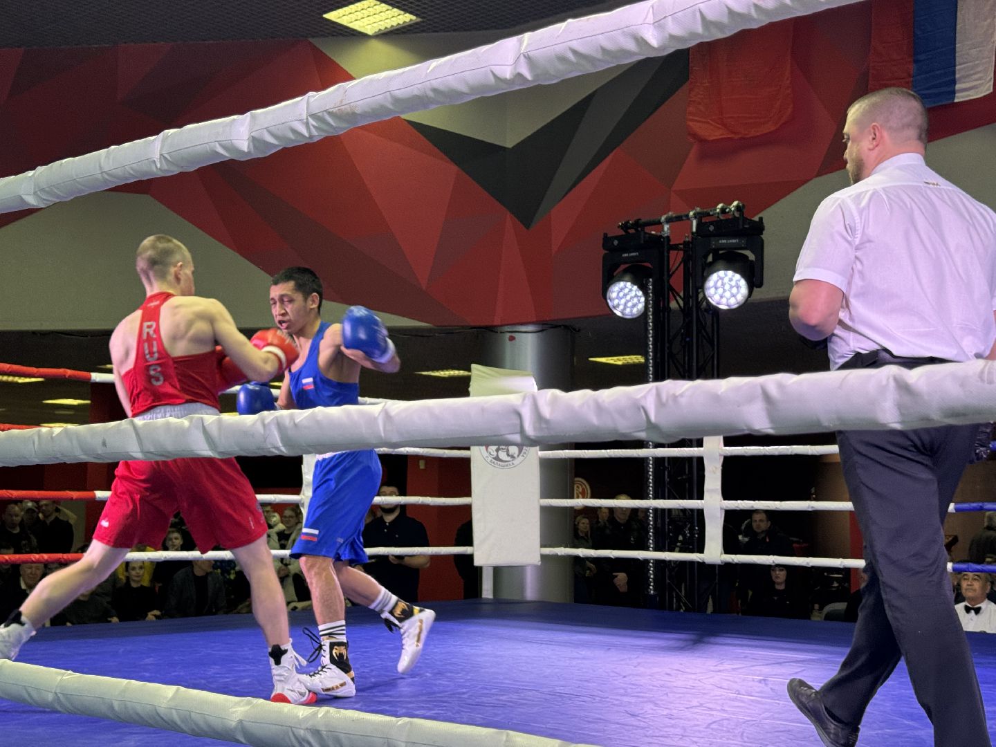 Балашиха, Бокс, Турнир по боксу, Спорт,