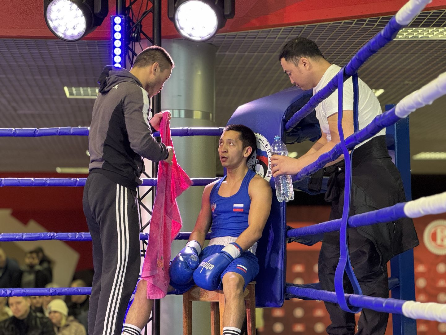 Балашиха, Бокс, Турнир по боксу, Спорт,