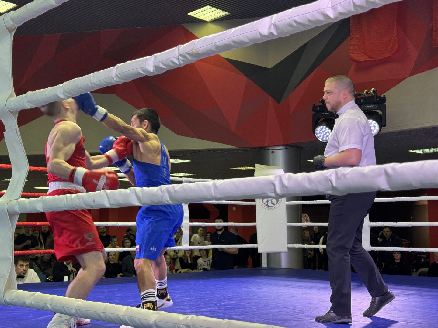 Балашиха, Бокс, Турнир по боксу, Спорт,