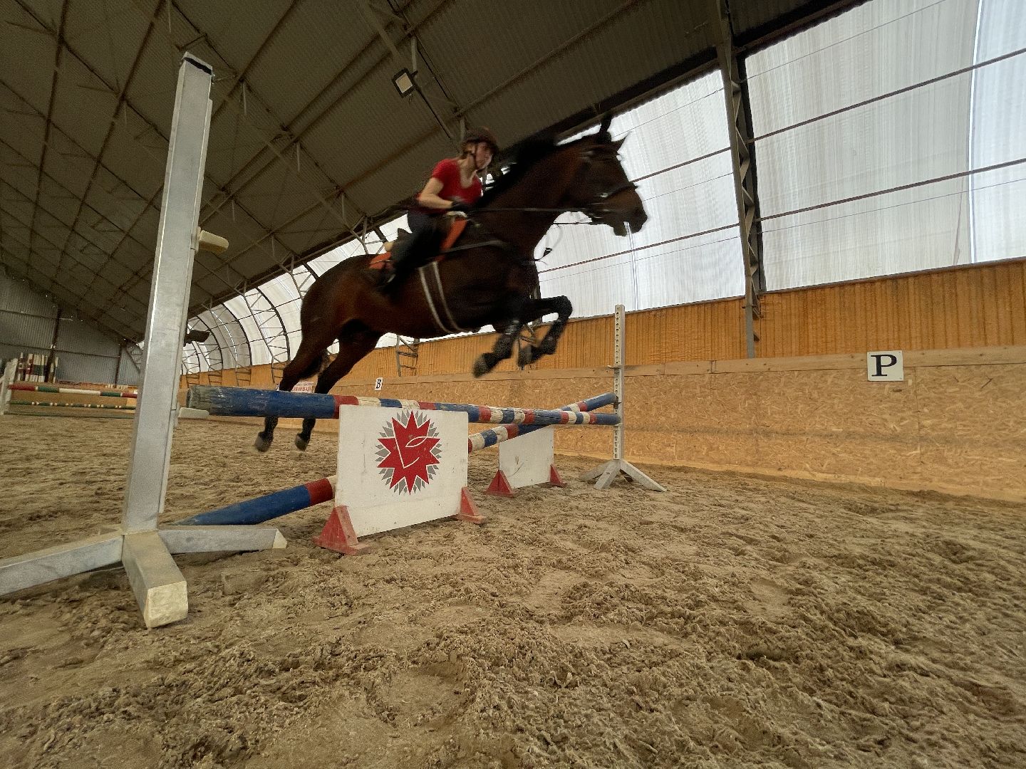 конный спорт, Одинцово, Кобяково, соревнования, конкур, Юникорн, Maxima,