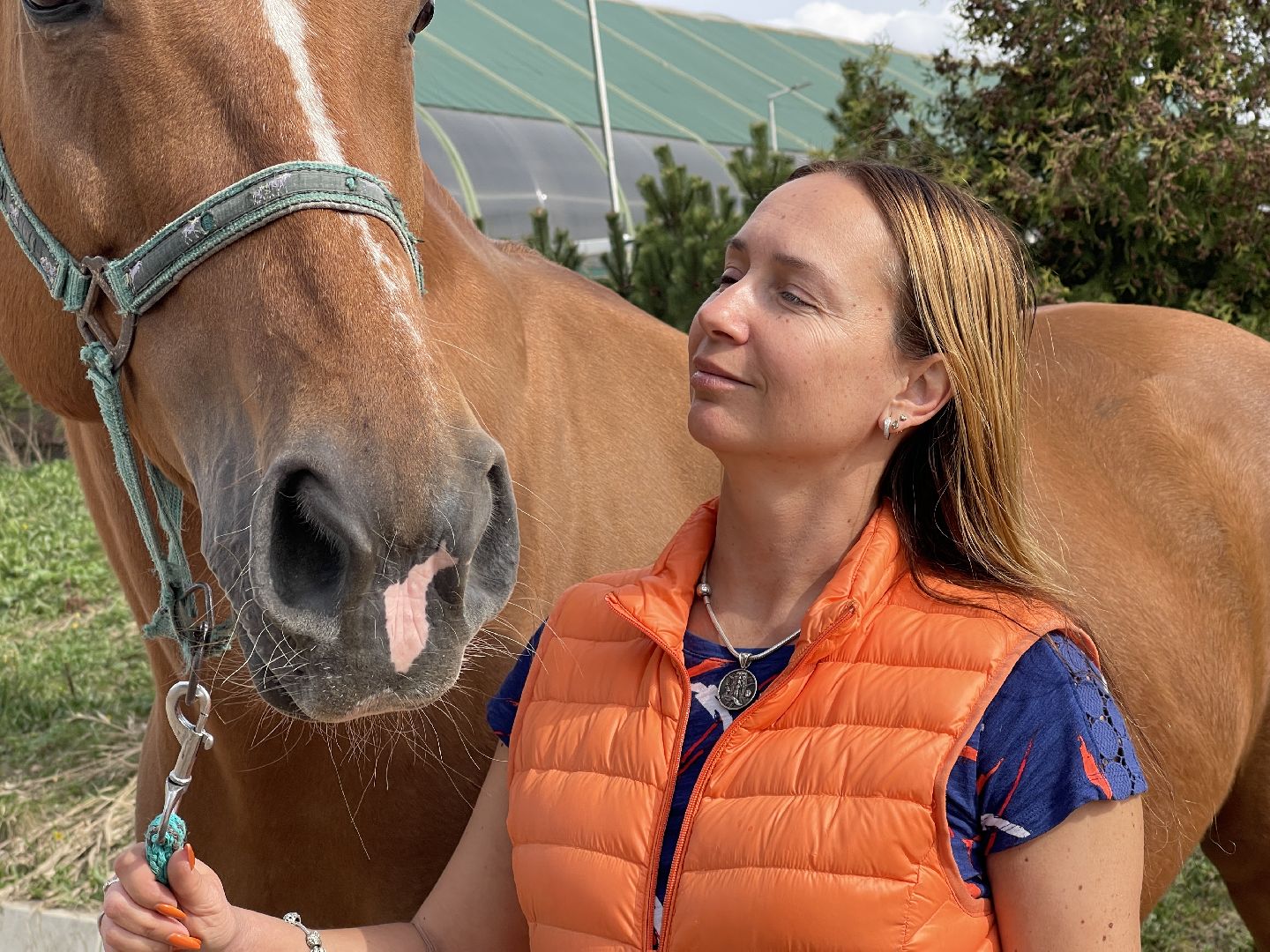 конный спорт, Одинцово, Кобяково, соревнования, конкур, Юникорн, Maxima,